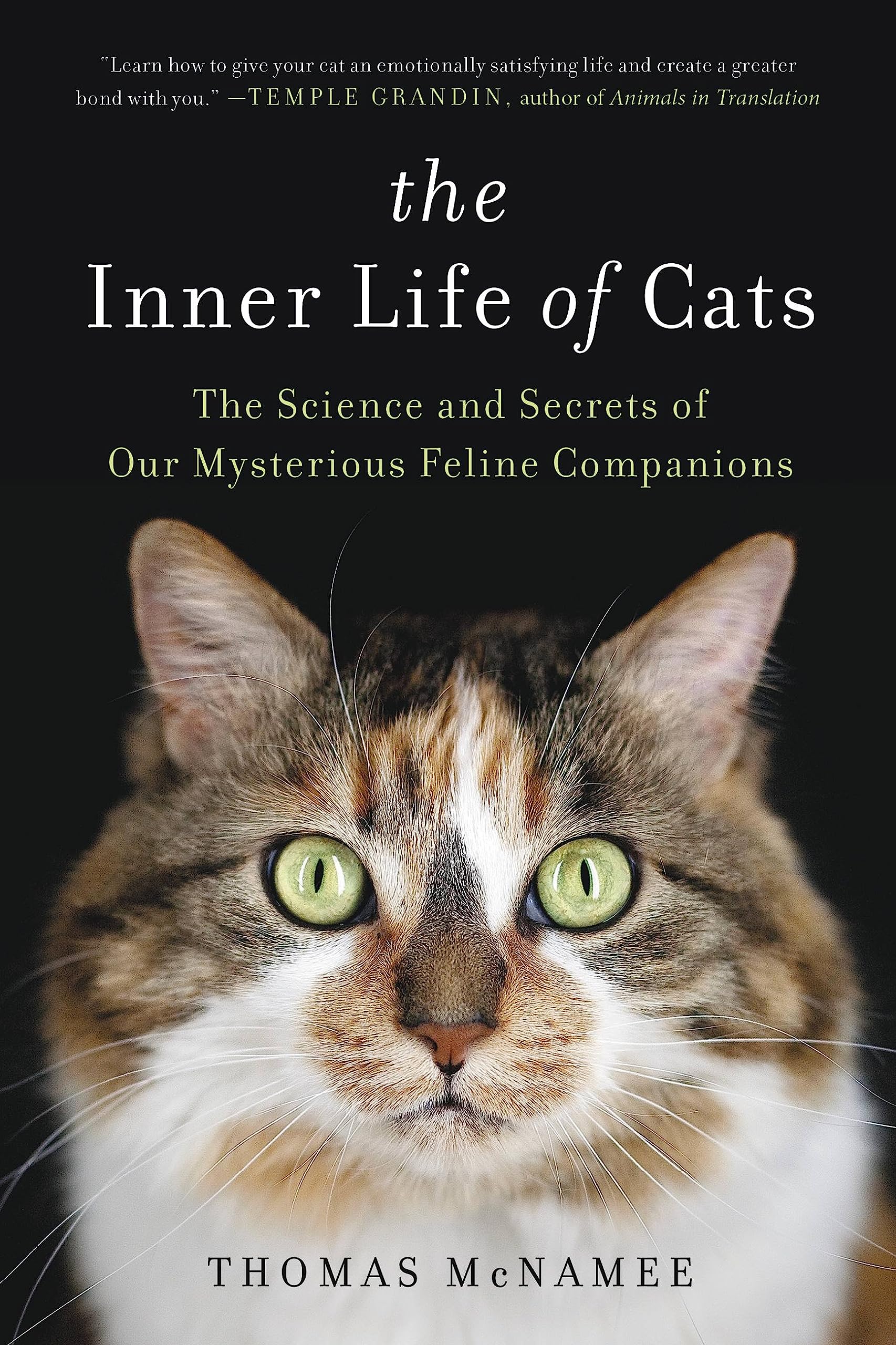 The Inner Life of Cats by Thomas McNamee (Paperback Book)