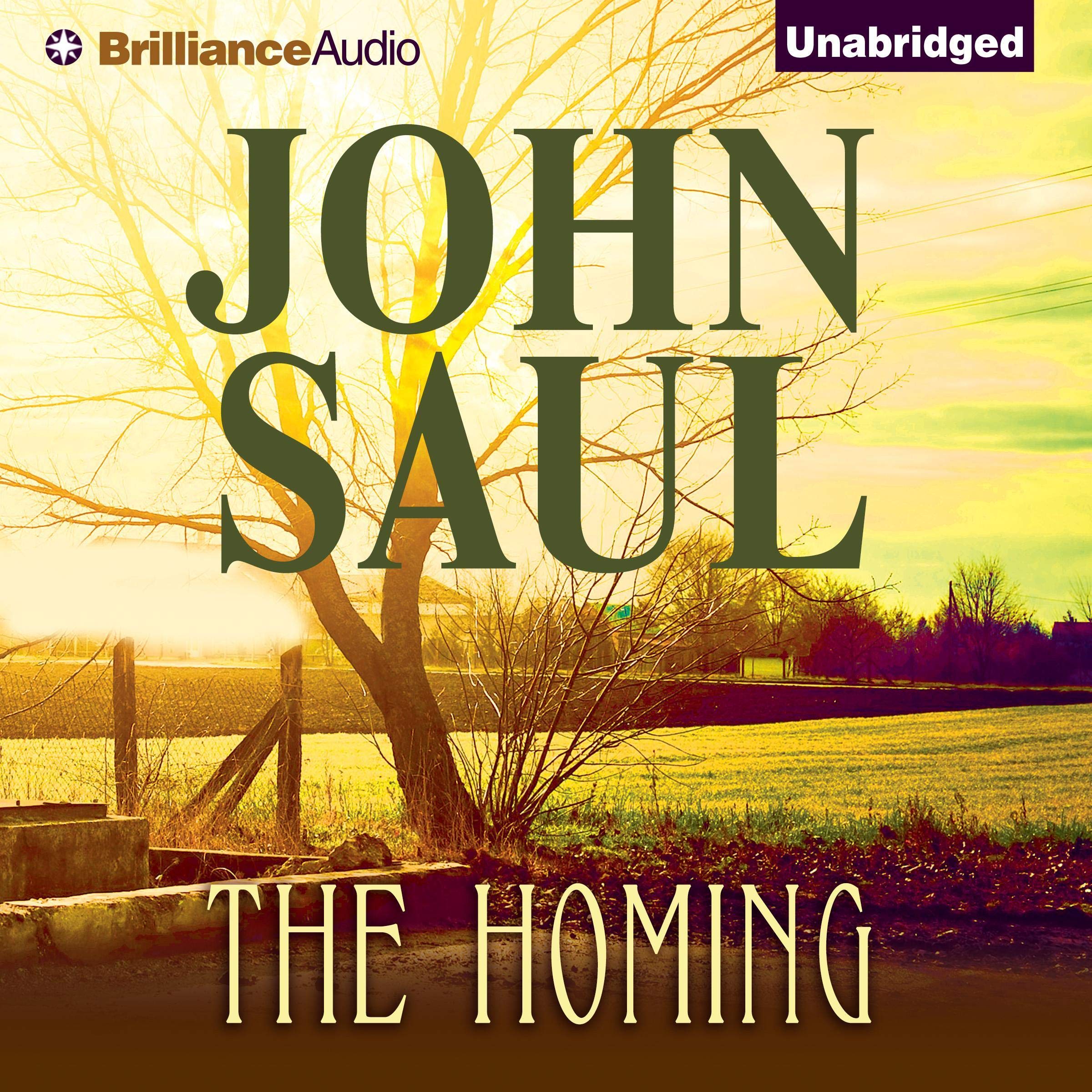Cover art for The Homing