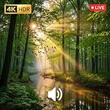 HibaBaraada - Fire TV & tablet