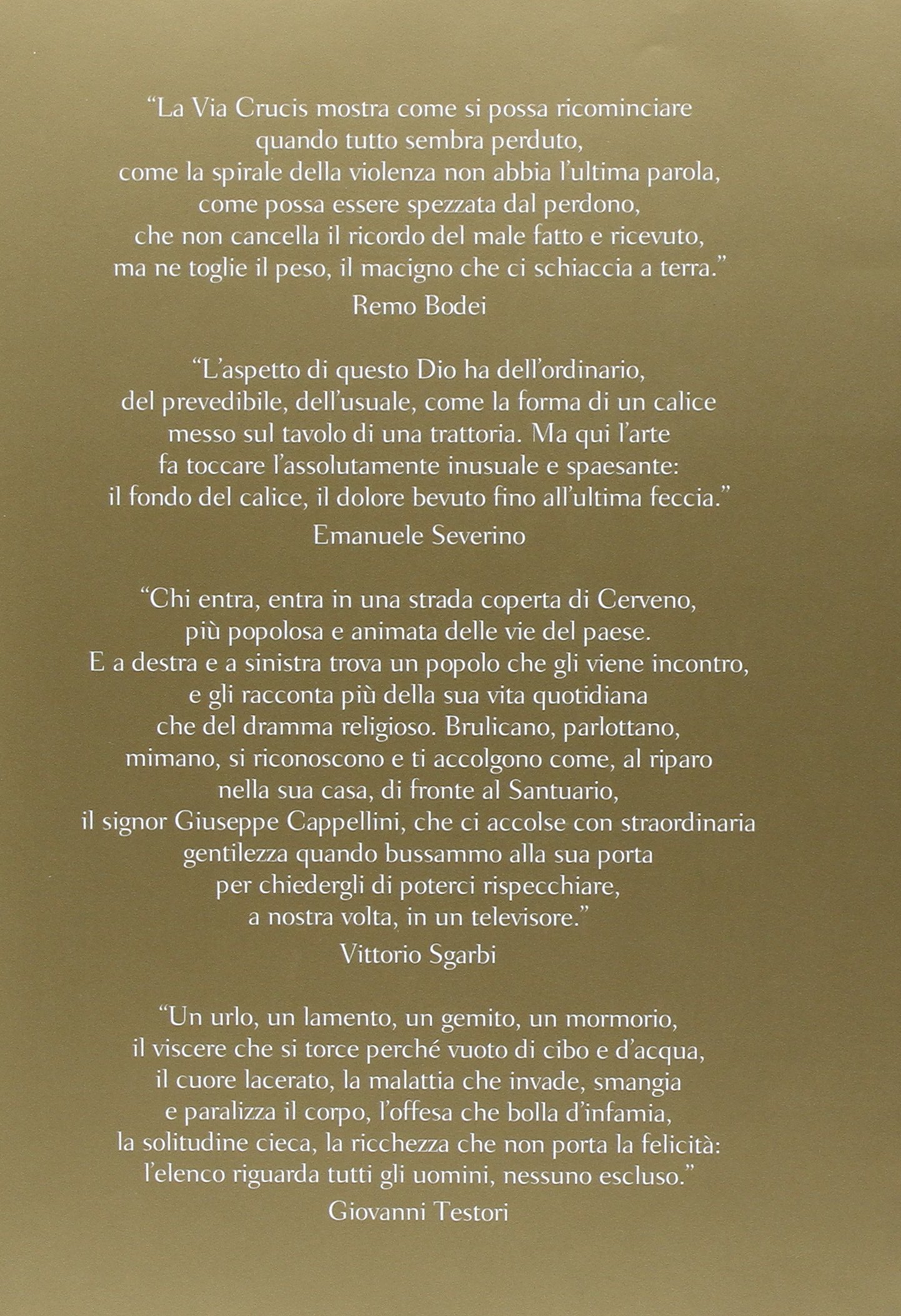L'ultima salita. La via crucis di Cerveno e il compianto di Breno di Beniamino Simoni. Ediz. illustrata. Con 2 DVD