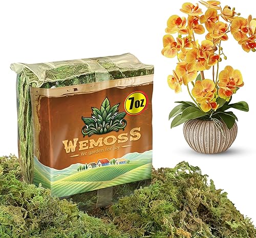 WEMOSS Musgo natural para plantas de interior, musgo seco para plantas en maceta, musgo de orquídea para trasplantar, musgo de bosque para mezcla de