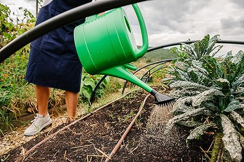 Miniatura 8 de Seeder Beast 3-0-0 Fertilizante líquido Revolucionario alimento para plantas de inicio de semillas para una mayor germinación y crecimiento con alto