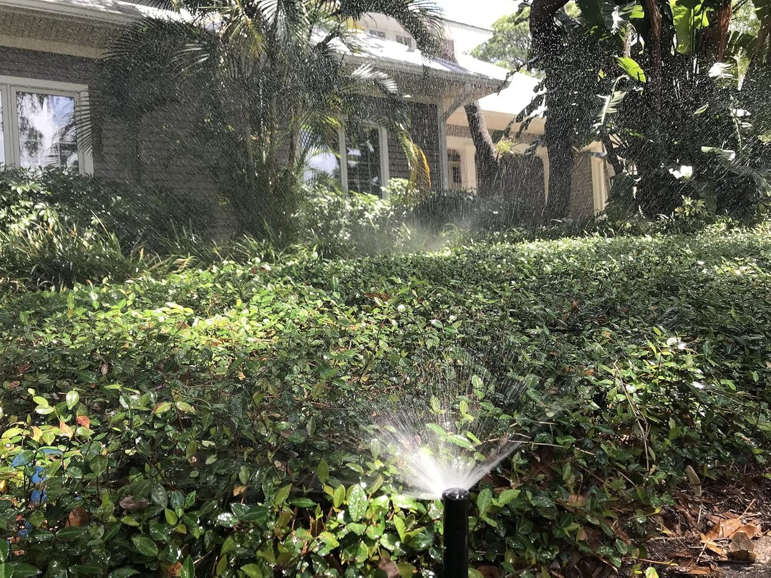 Mosquito Magician Residential System - with 1 Gallon Liquid Concentrate - Kills Mosquitoes, Fleas, and Fire Ants - Automatic & Easy Installation - Wide Area Coverage - Ideal for Small to Medium Yards