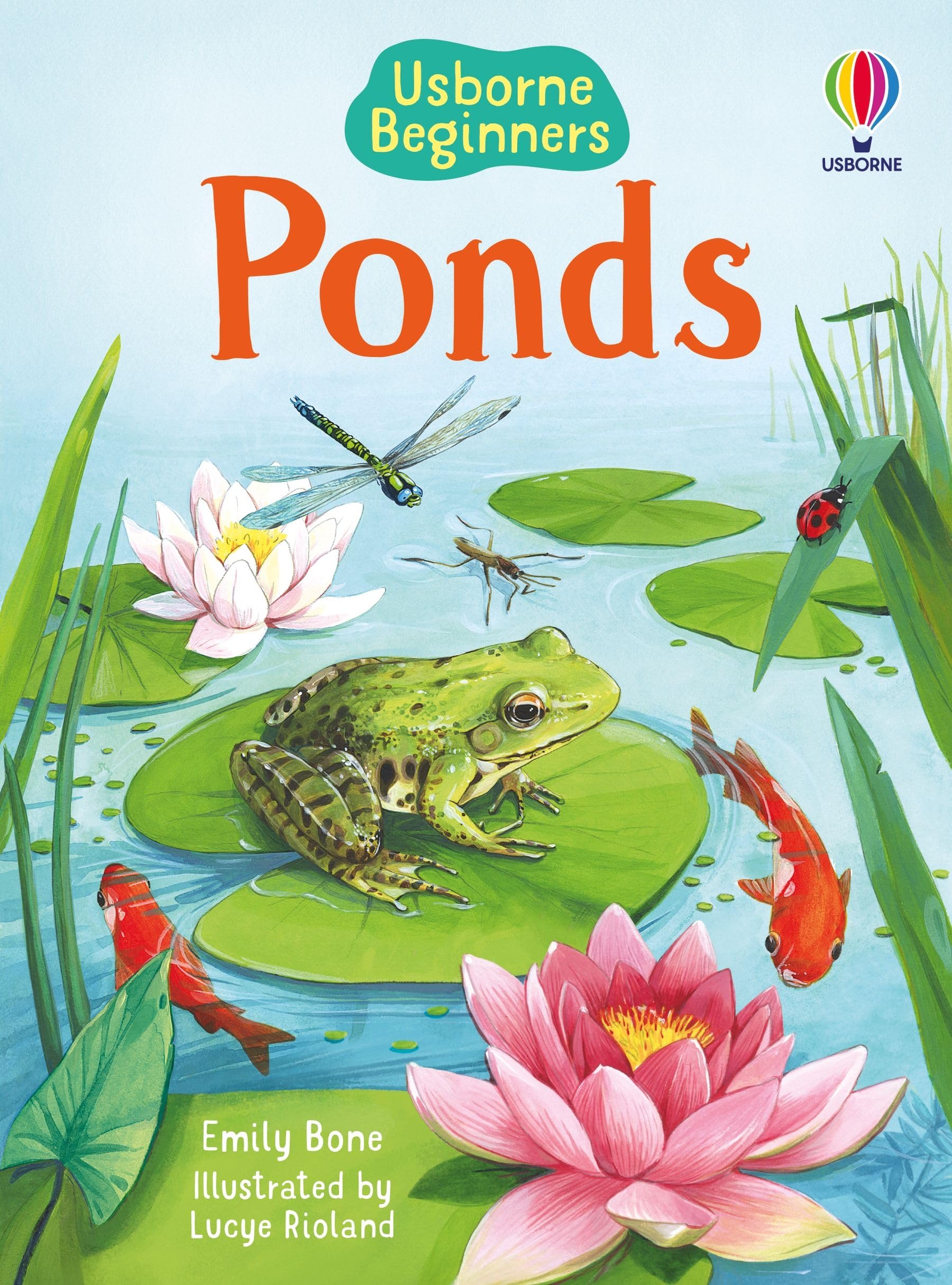 Ponds (Beginners)