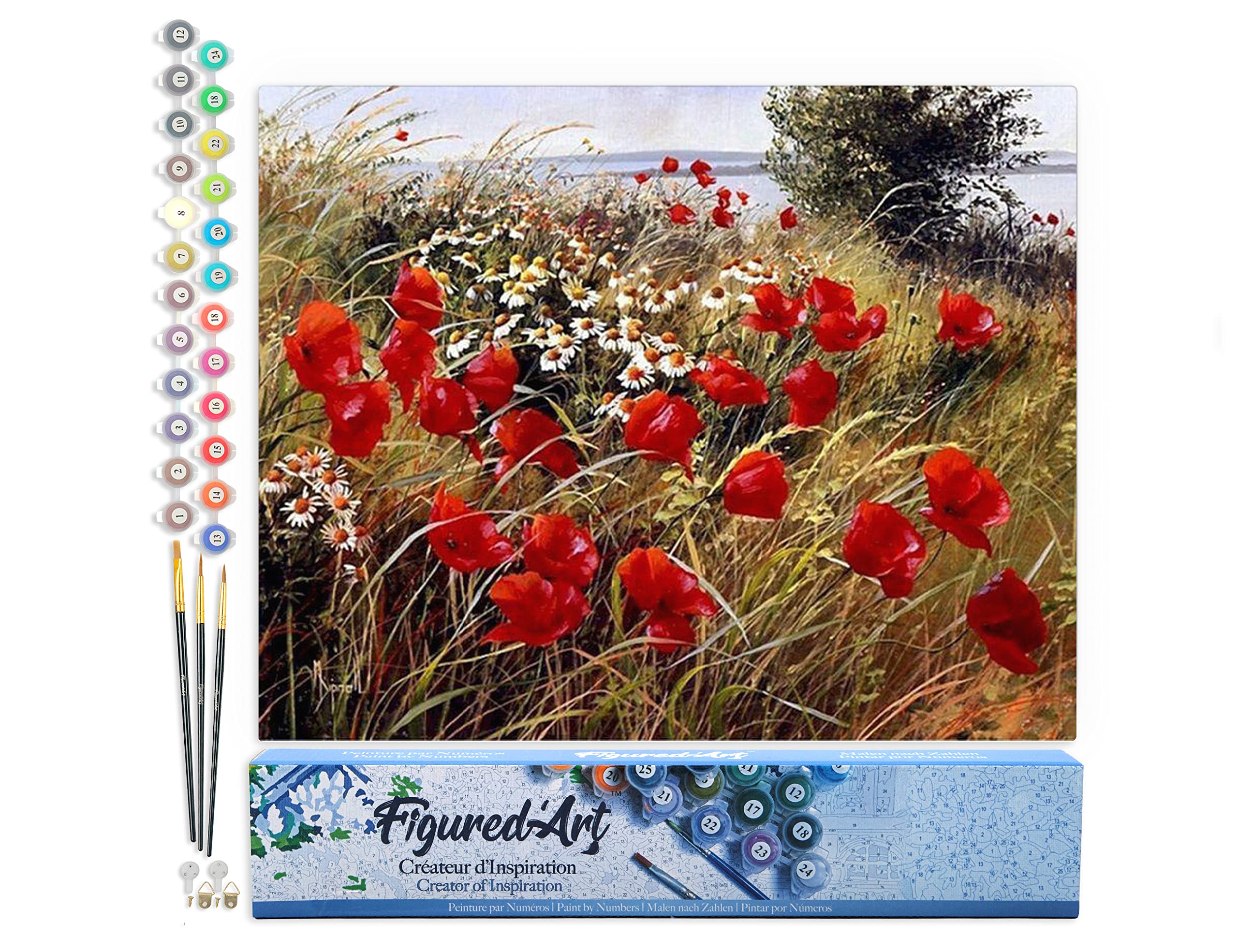 Figured'Art Paint by Numbers for Adults Wild Flowers in The Countryside 40x50cm - Craft Art Painting DIY Kit Rolled Canvas Without Frame