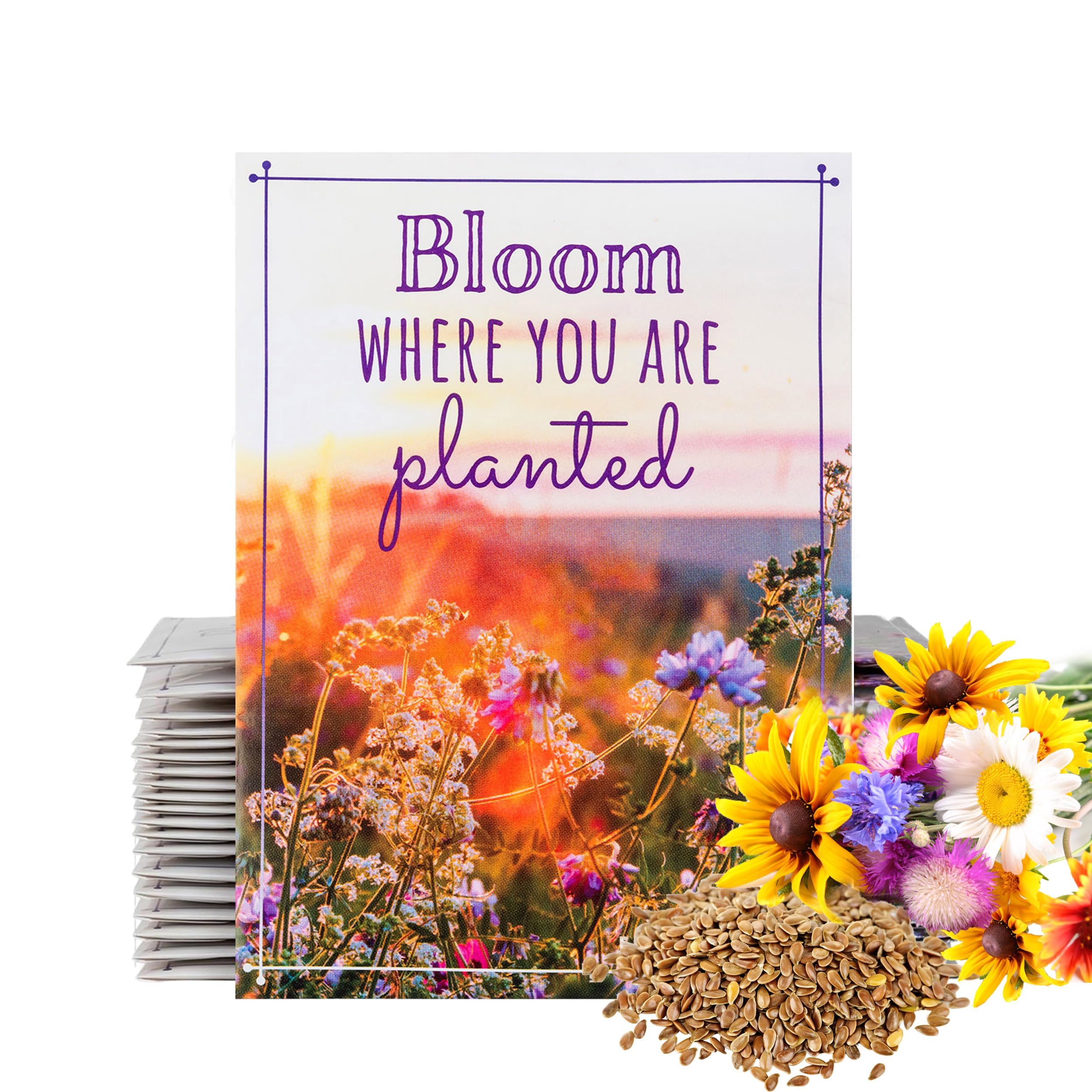 american meadows wildflower seeds Wet Meadow Wildflower Seed Mix
