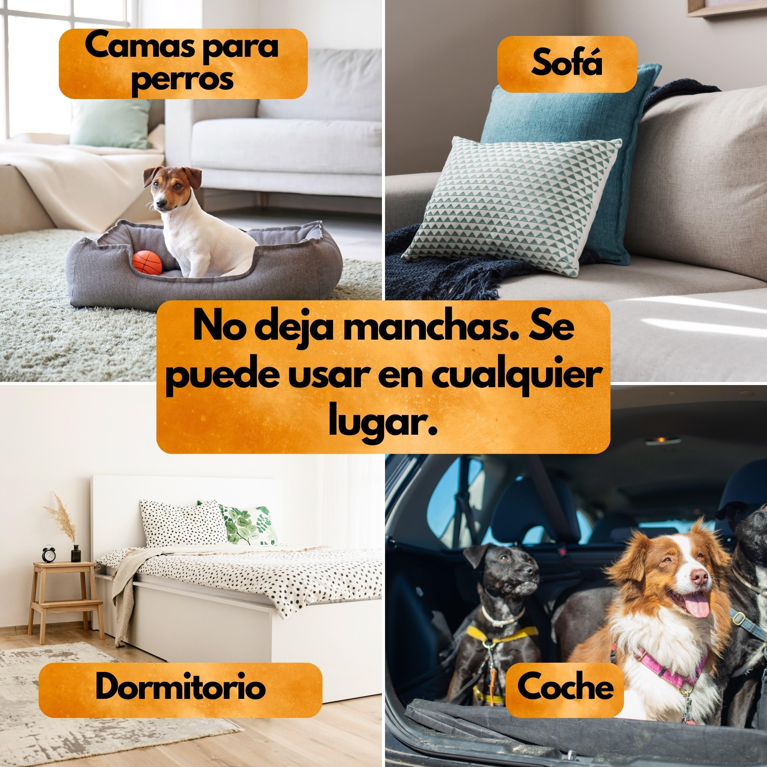 Panteer ® Spray Antipulgas 500ml - contra Las pulgas en el hogar - Sin permetrina - Altamente eficaz Gracias al acetamiprid - Fabricado en Alemania
