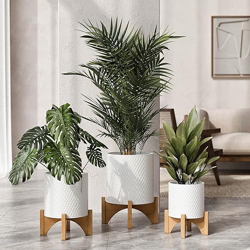 Miniatura 6 de EverNest Claire Maceta blanca moderna bohemia con soporte de madera de arco, maceta de interior de mediados de siglo, base SelectBase, soporte