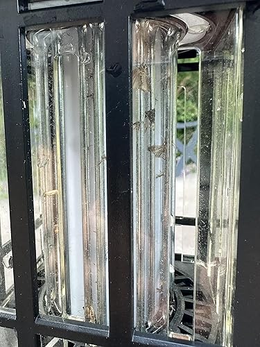 Miniatura 9 de PIC Linterna solar para patio, exterminador de insectos, cobertura de  acre, efecto de llama LED, paquete de 2