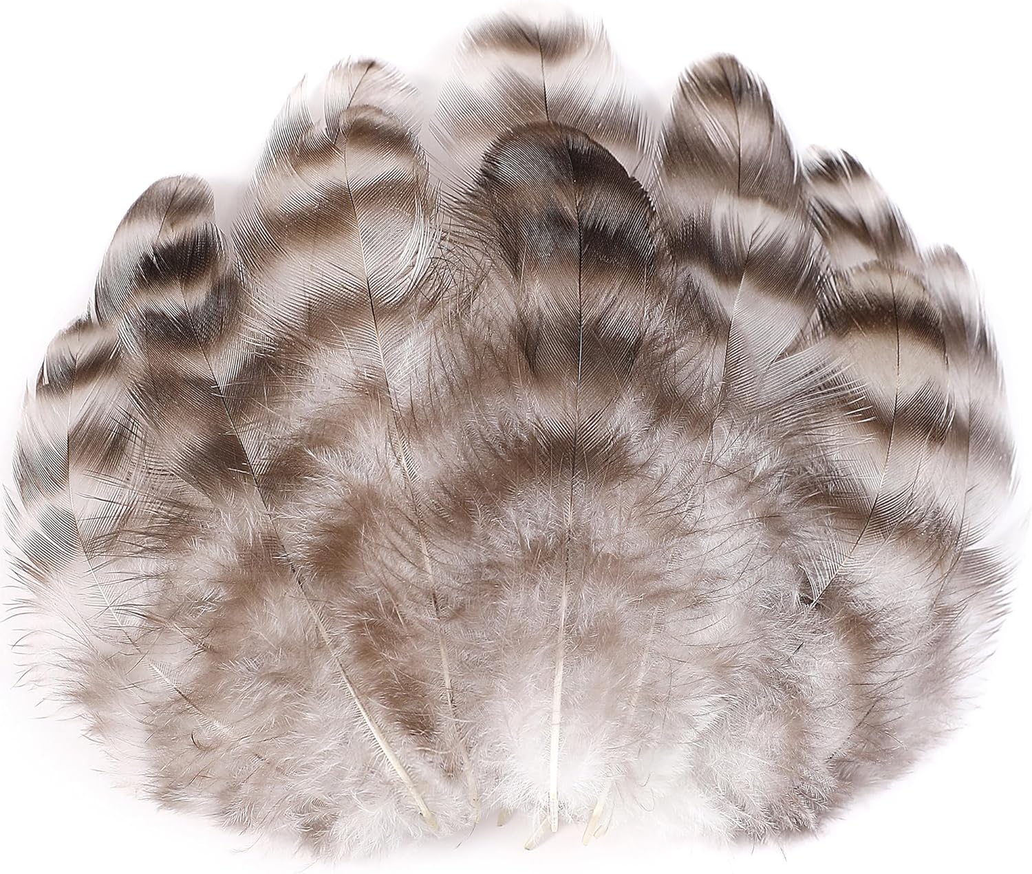 Soarer Natural Chinchilla Coque Feathers - 300pcs 3-5inch Craft Feathers for Dream Catcher Supplies, Home Party, Hats and Jewelry Accessories and DIY Crafts(Chinchilla)