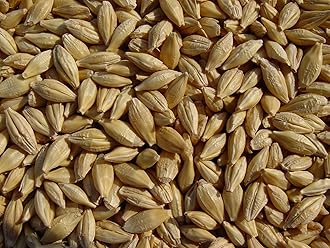 Barley 18 Lbs, Unhulled Barley (Hull Intact), Joseph's Grainery Whole Grain Barley, Non-GMO, Kosher Certified
