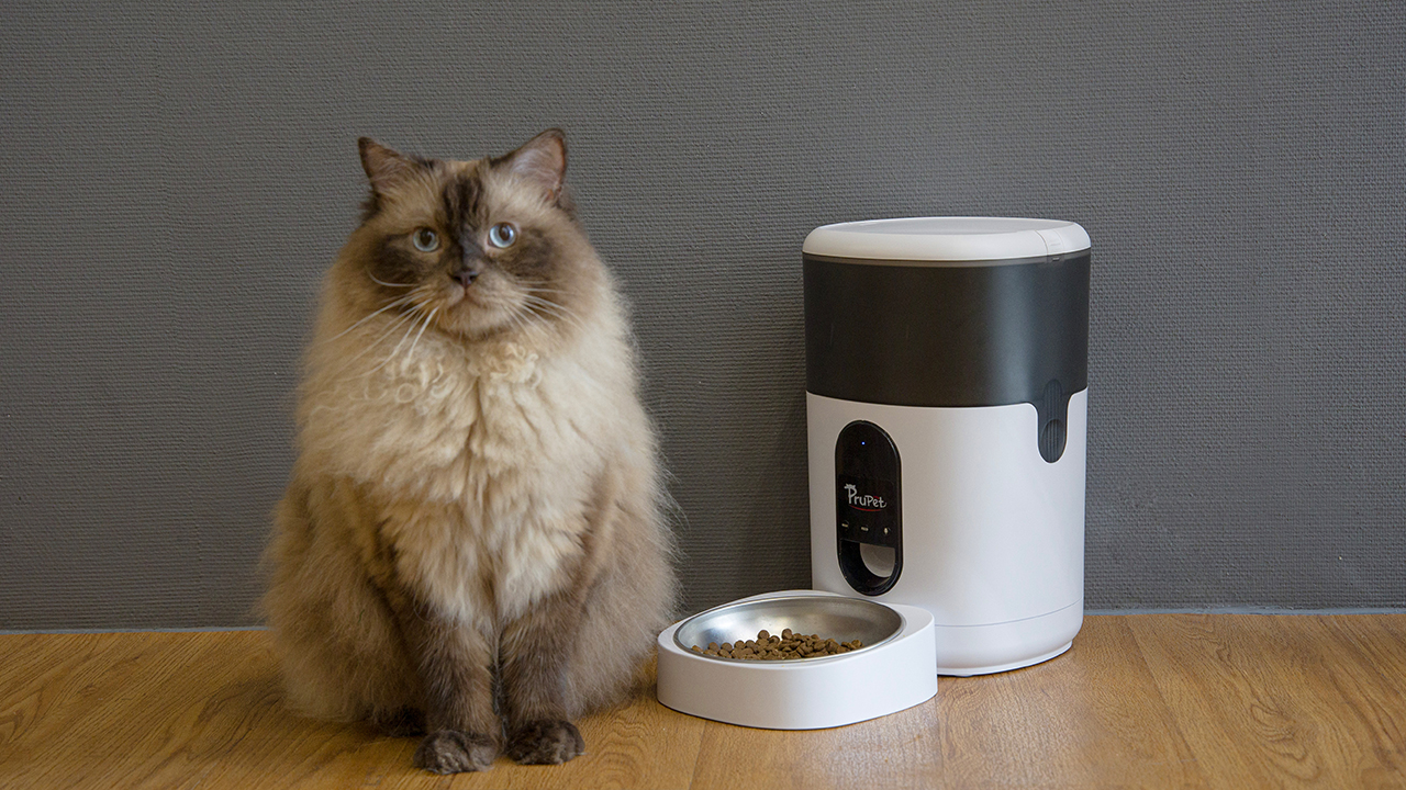 Prupet WiFi Automatic Cat Feeders, 4L Timed Cat Feeder, Cat Food Dispenser with Stainless Steel Bowl, APP Control Pet… - Image 7