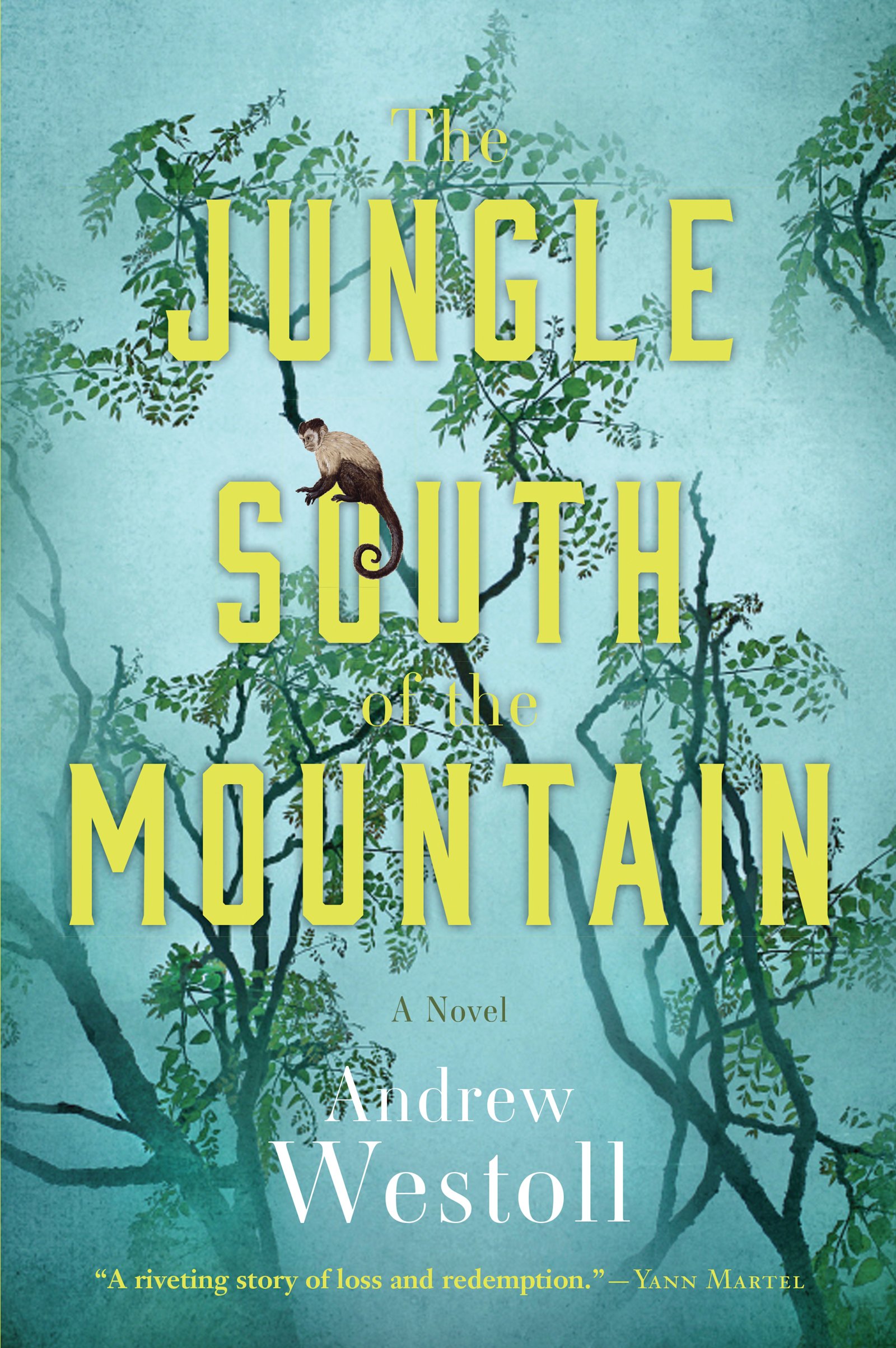 Buy The Jungle South of the Mountain — BookShops.in