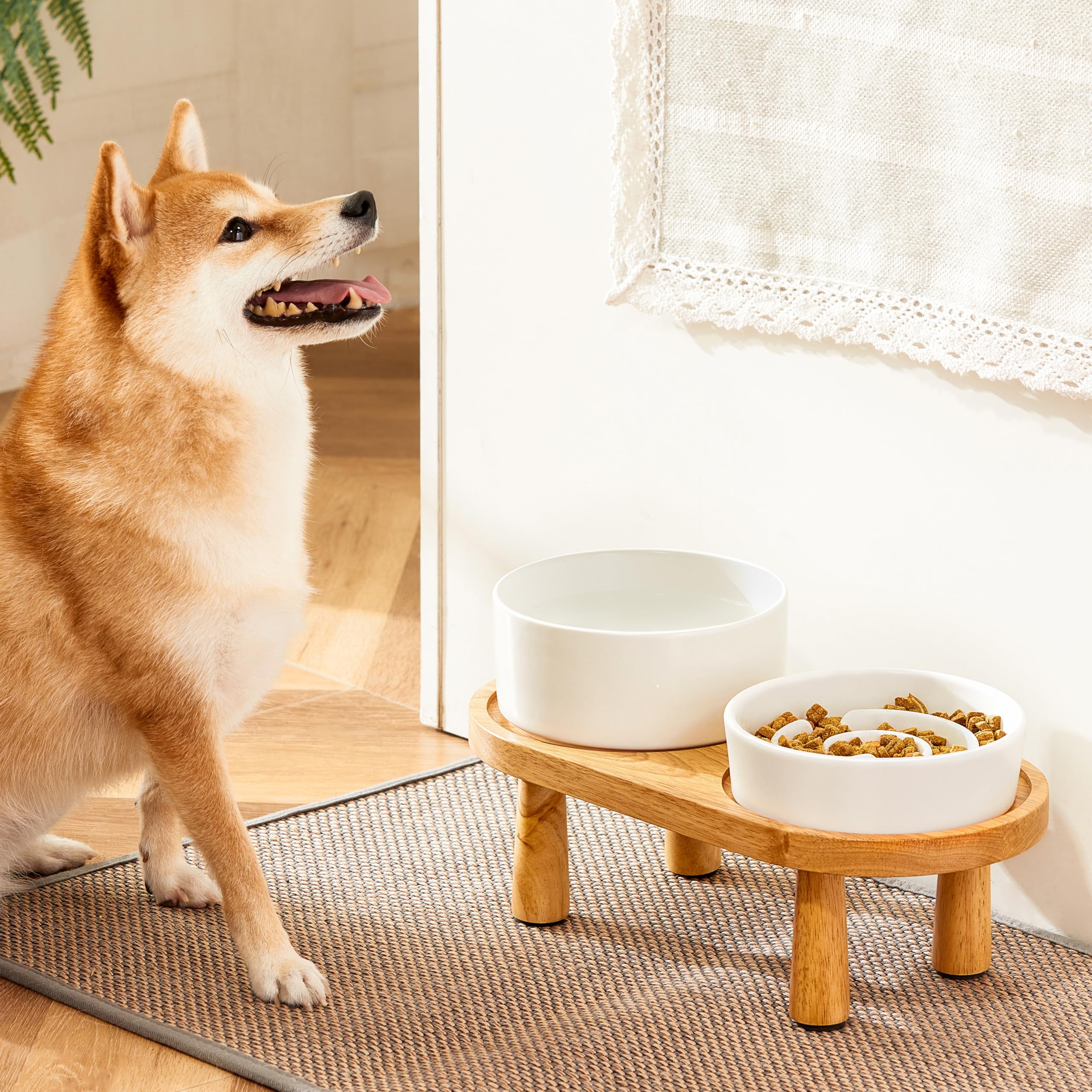 Cuenco de cerámica para perros con soporte de madera, 850 ml, color blanco