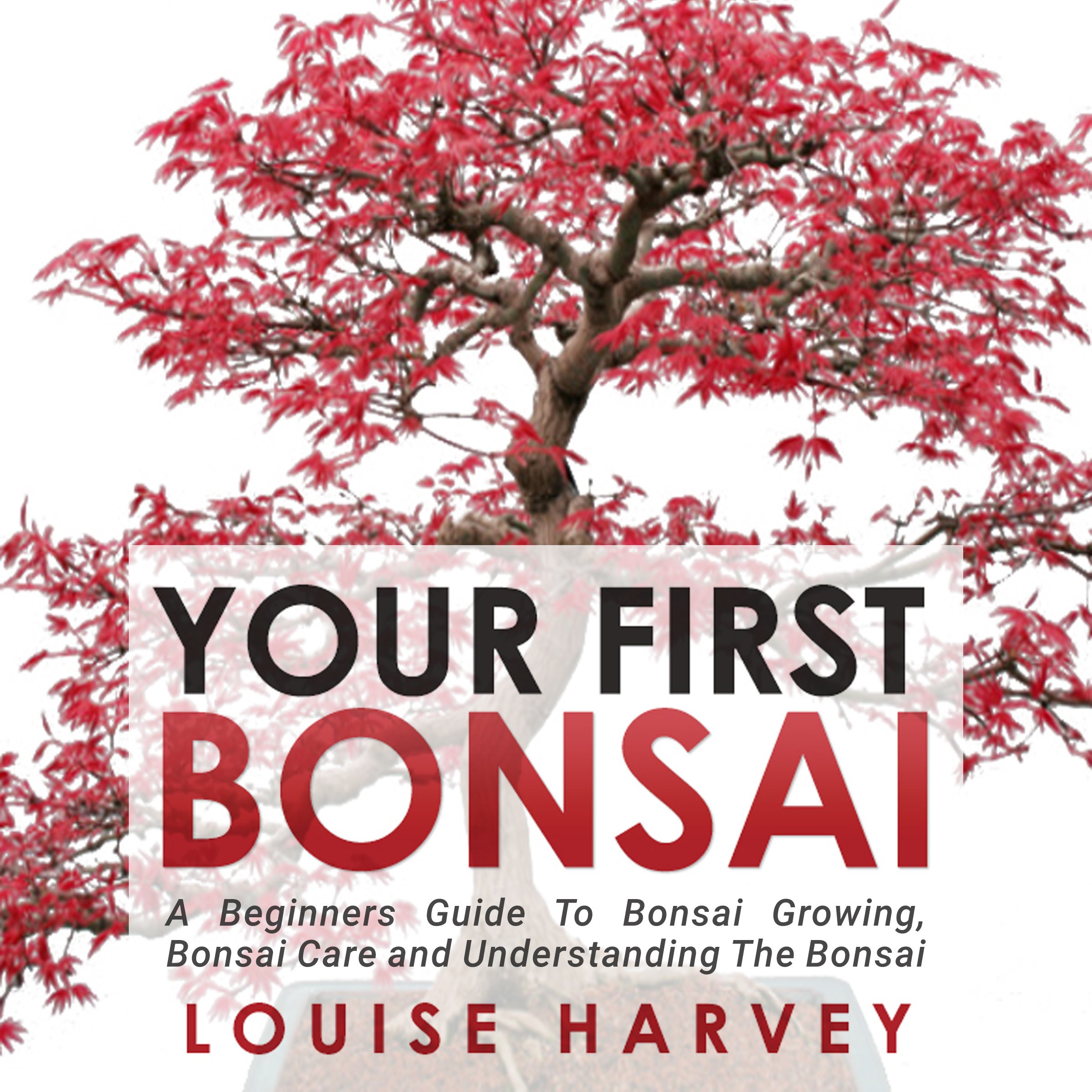 Cover art for Your First Bonsai