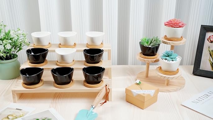 鉢・プランター Supreme Mini Planters (Set of 3) Multi Supreme Mini Planters (Set of 3) 