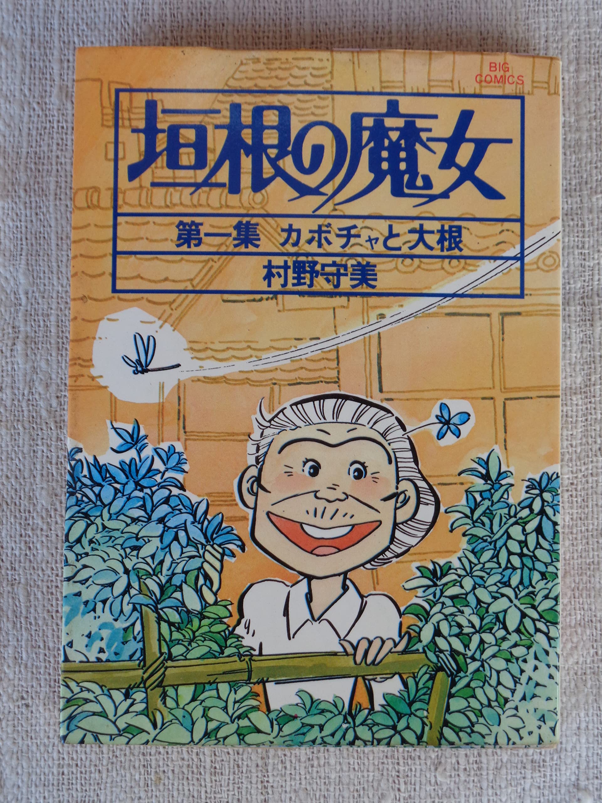 Amazon.co.jp: 村野 守美: 本、バイオグラフィー、最新アップデート