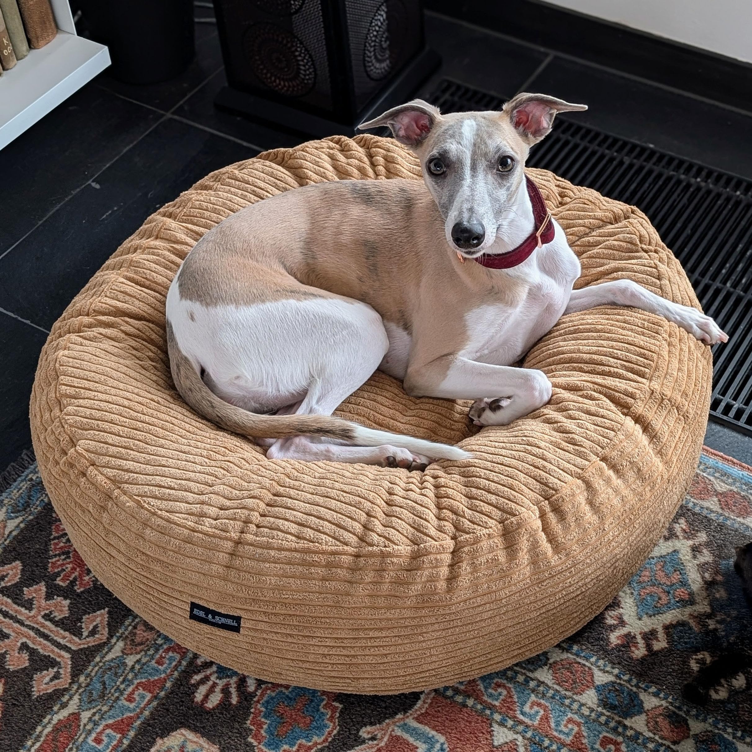 EDEL&SCHNELL orthopädisches Hundebett handgefertigt rund in der Farbe Sand mit robuster Cord Oberfläche, Whippet Greyhound Galgo Hundebett waschbar, 125 cm Durchmesser