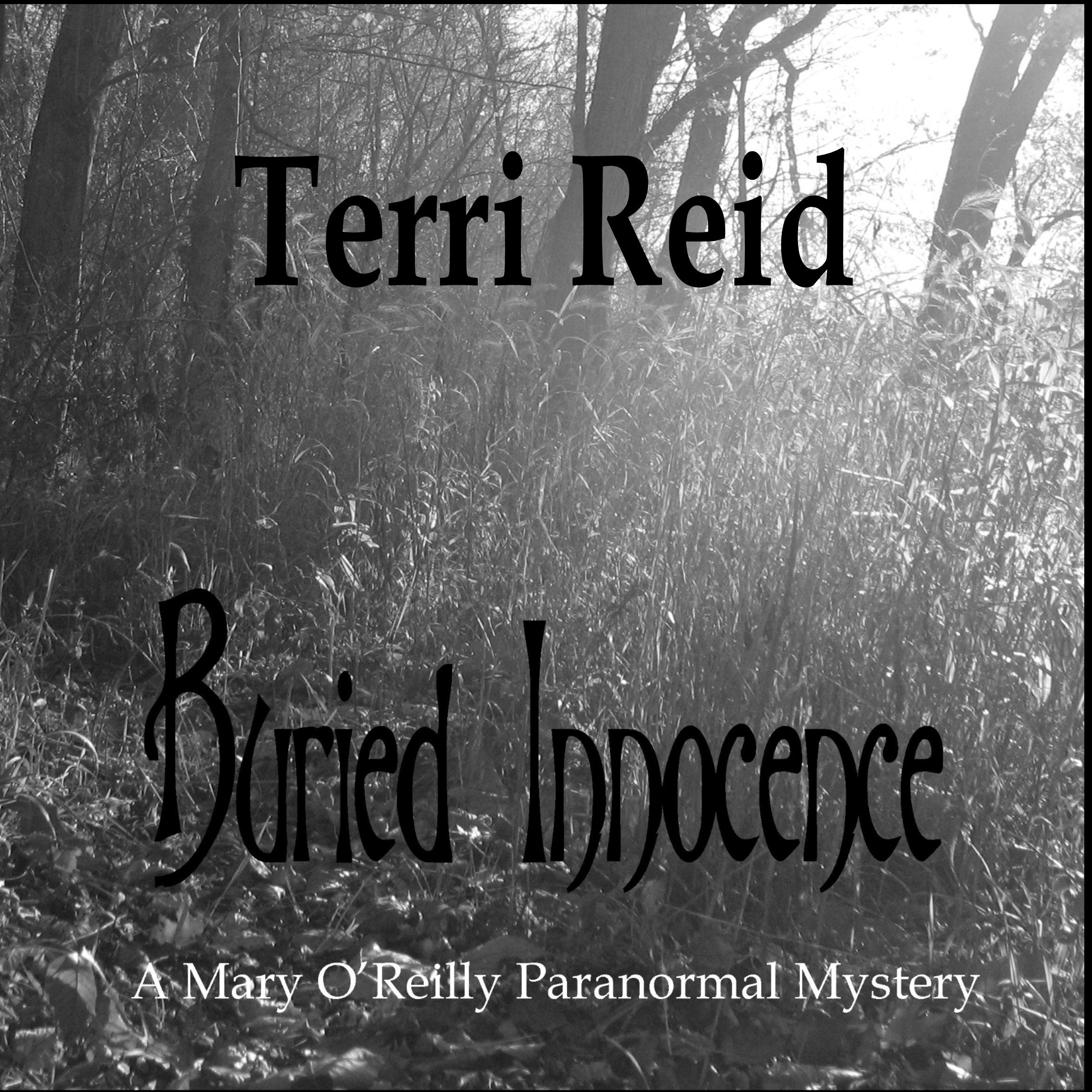 Cover art for Buried Innocence