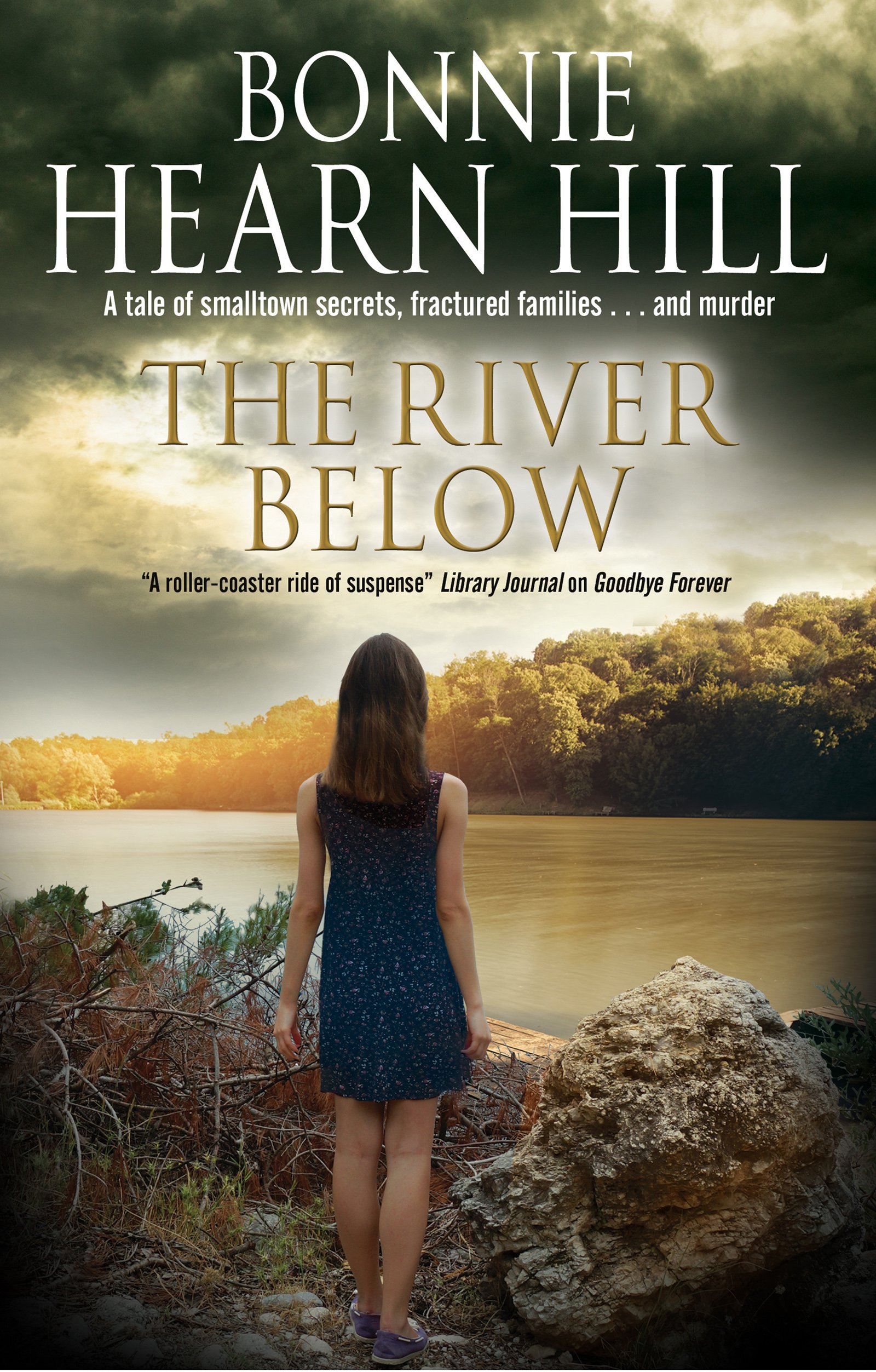 Buy The River Below — BookShops.in