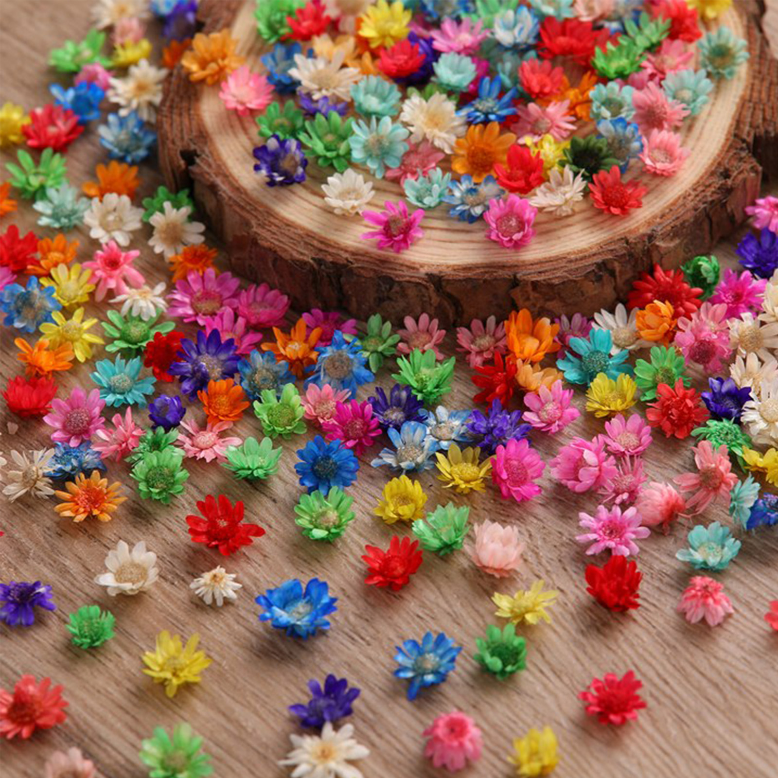 900 PCS Flores Secas Pequeñas para Manualidades y Resina miniatura 7