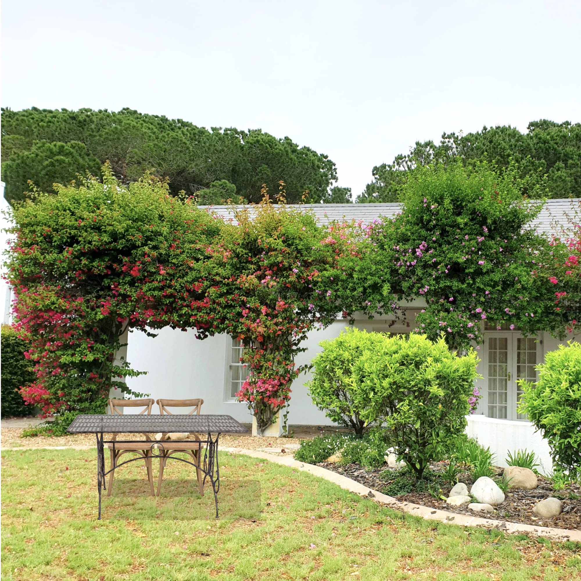 Biscottini - Tavolo da balcone e Giardino 150x80x77 cm - Tavolo da Esterno in Ferro Battuto - Tavolo Giardino anticato - Tavolo da Giardino Smontabile