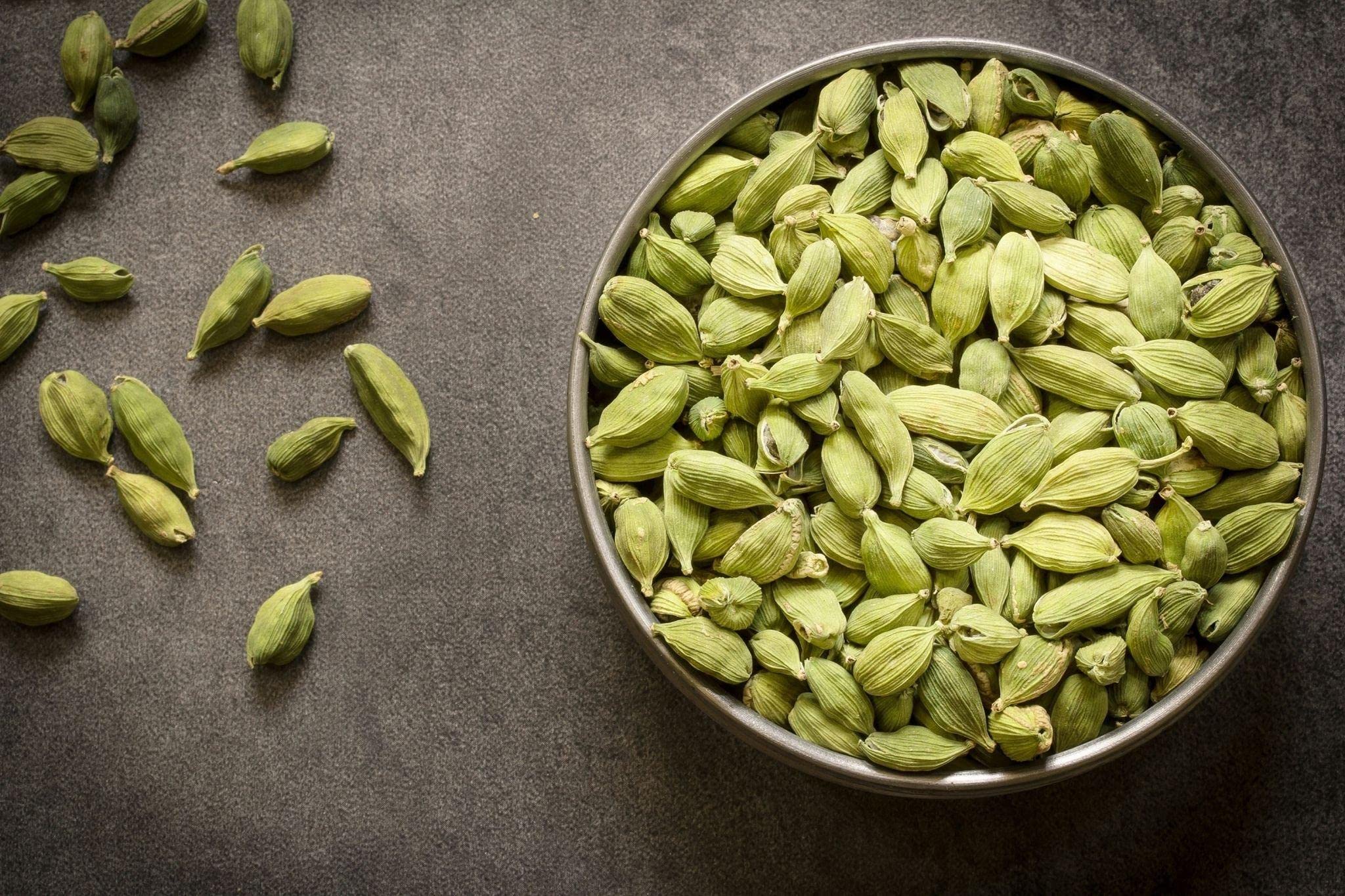 EROANVIA Live Cardamom/Elaichi Plant Healthy Hybrid Live Plant For Home Garden, 400 Gram (B0BG8PGWLD) Amazon Price History, Amazon Price Tracker