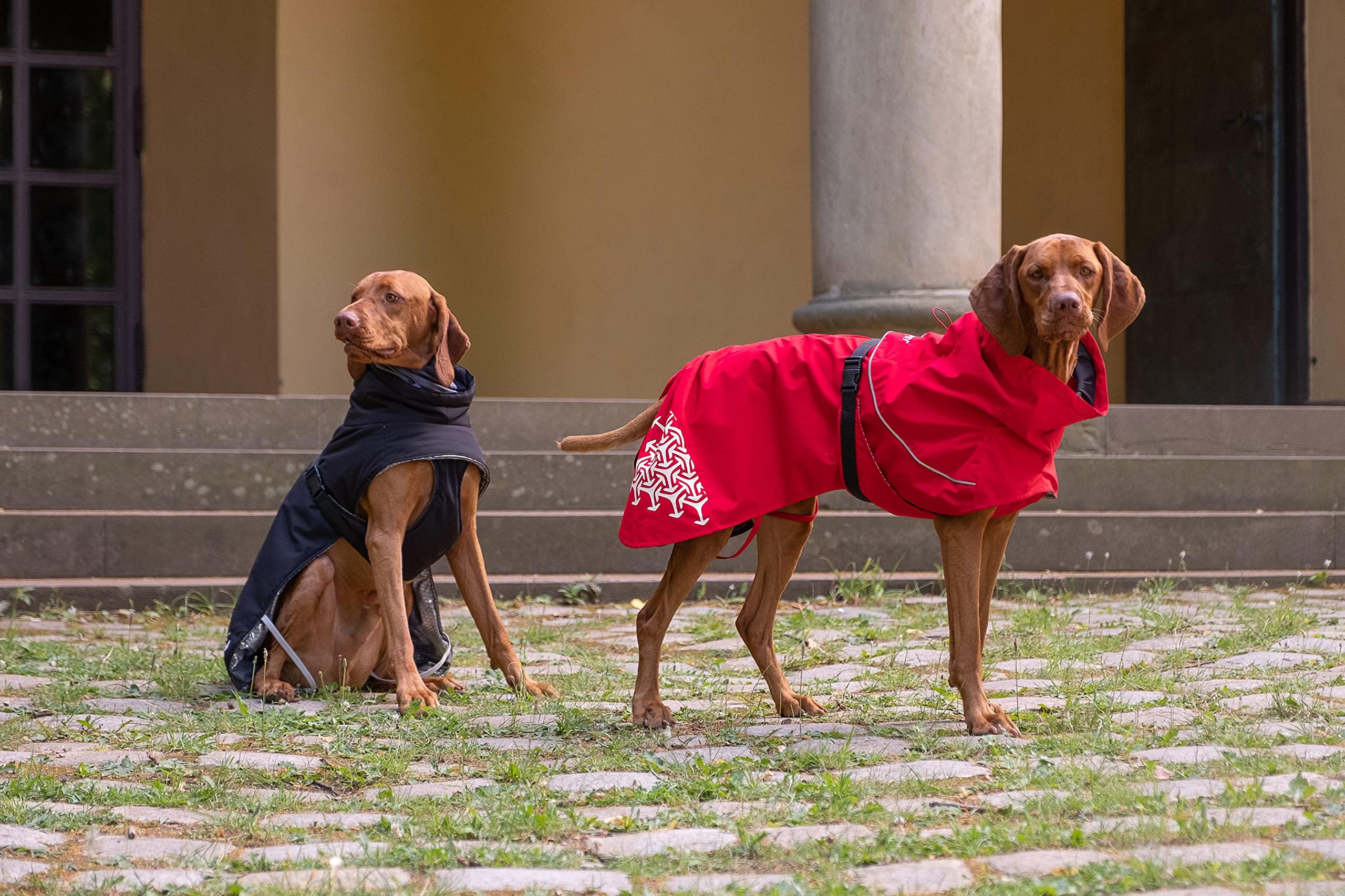 iEnergy MIC Imbracatura per cani con due borse e ideale per viaggi brevi, Imbracatura pettorale traspirante, riflettente e imbottita Imbracatura anti-trazione No Pull (XL)