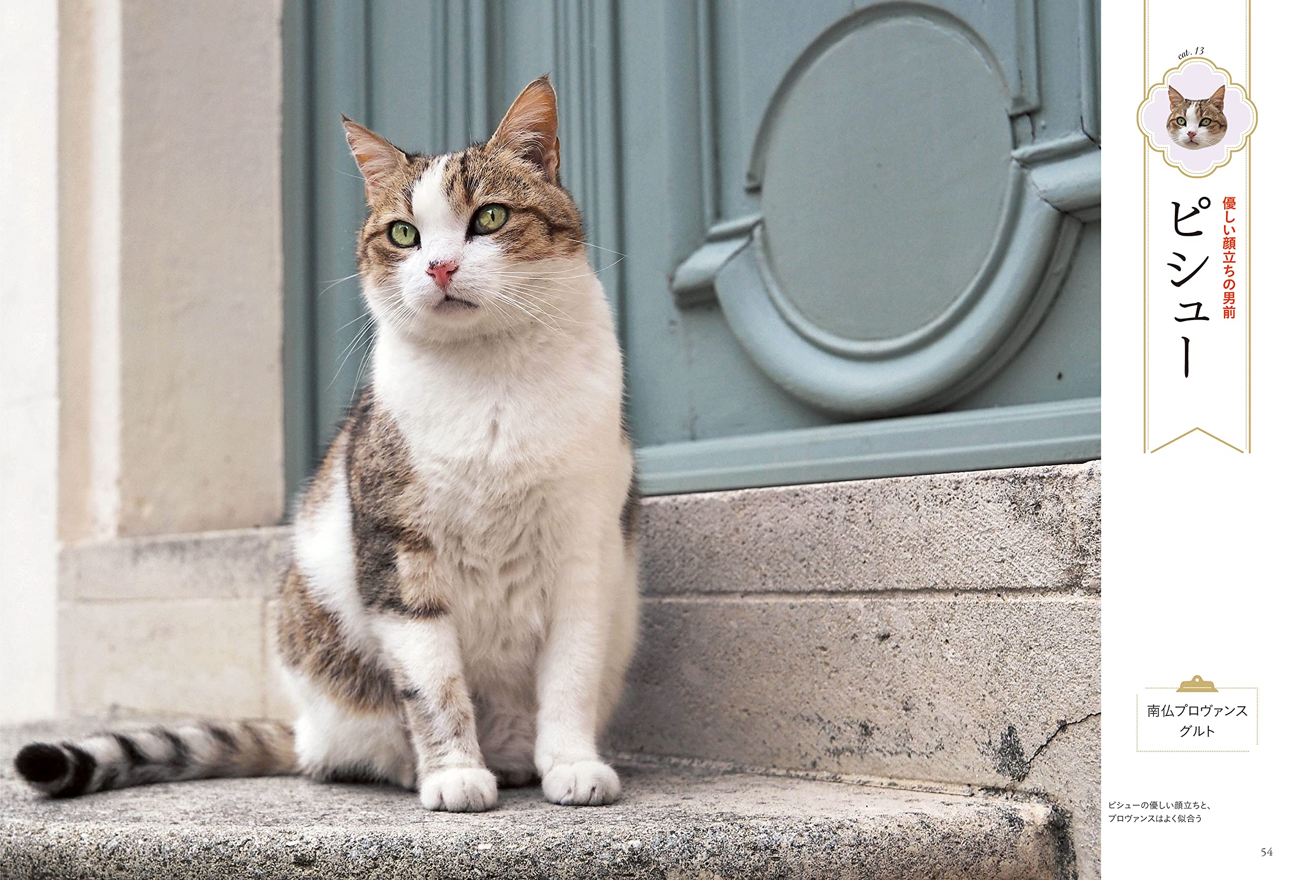 藤編四季豪華汎用猫舎ケージ家庭用二階室