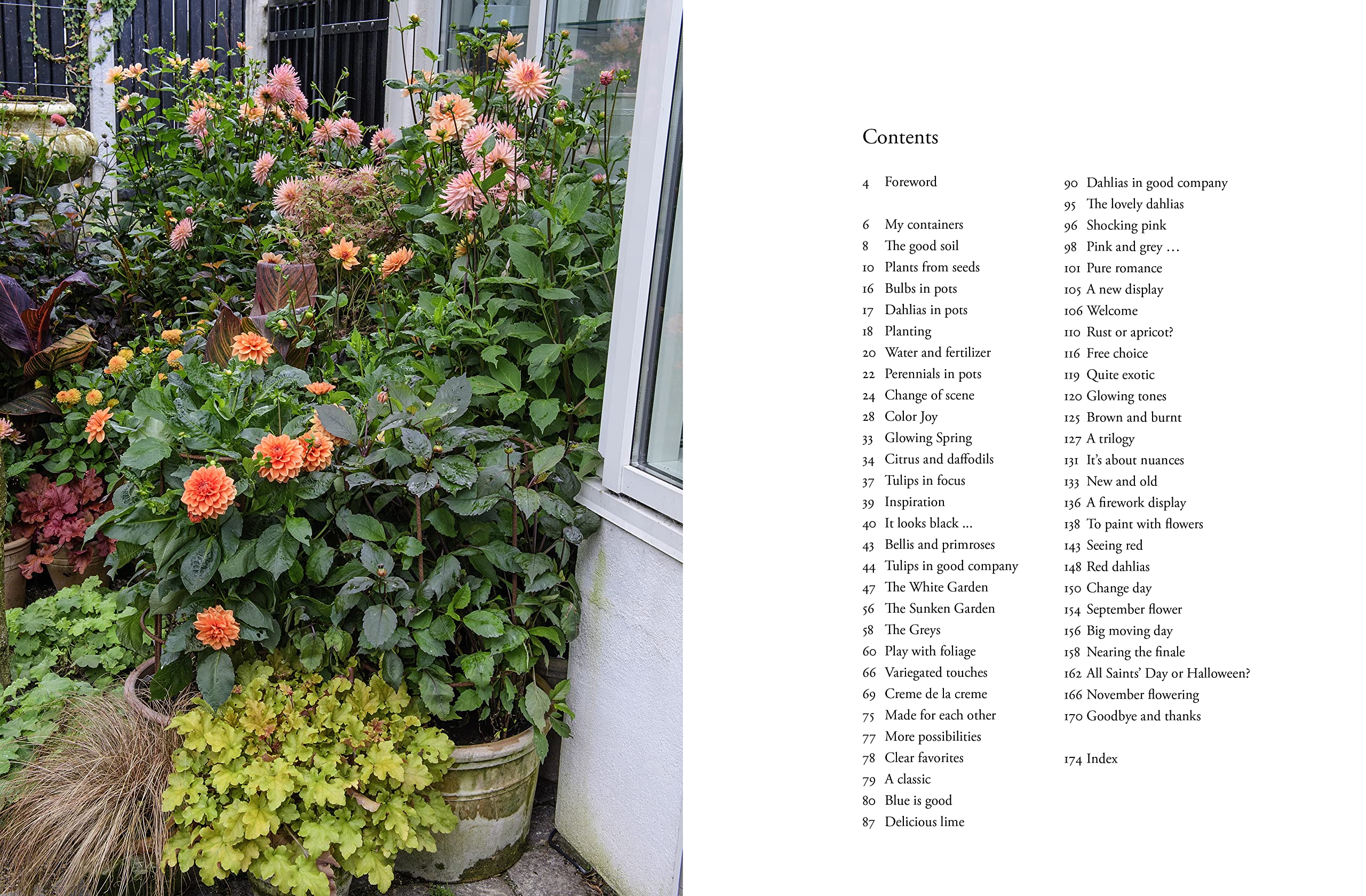 Container Gardening Guide - Grow Beautiful Gardens -2