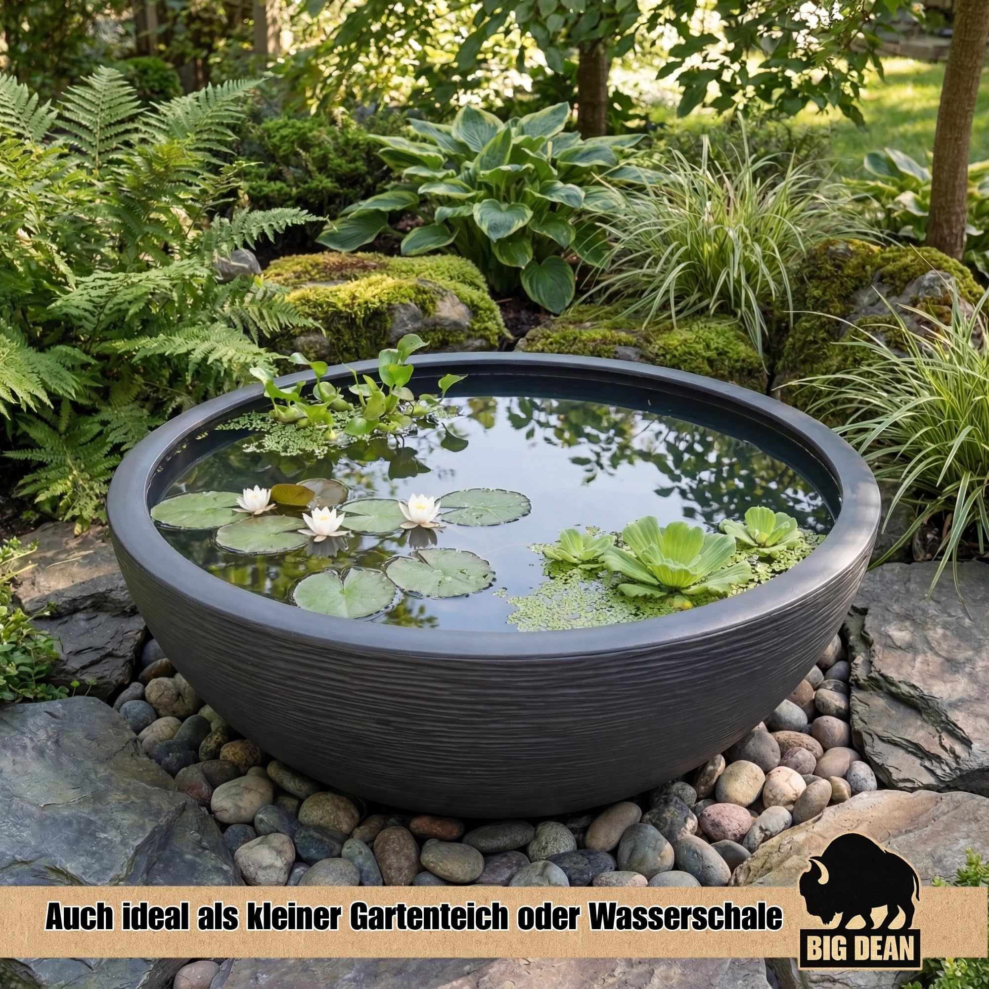 BigDean XL Pflanzschale 59cm x21cm DXH ideal auch als Brunnenschale