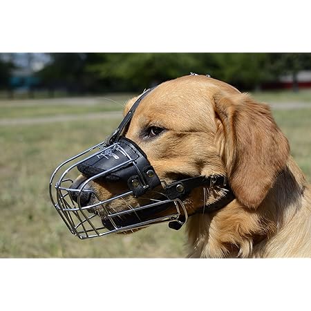 Amazon 犬 口輪 大型犬 ラブラドール レトリバー ゴールデンレトリバーサイズ Fordogtrainers マズル 口輪 通販 Amazon 犬 口輪 大型犬 ラブラドール レトリバー ゴールデンレトリバーサイズ Fordogtrainers マズル 口輪 通販