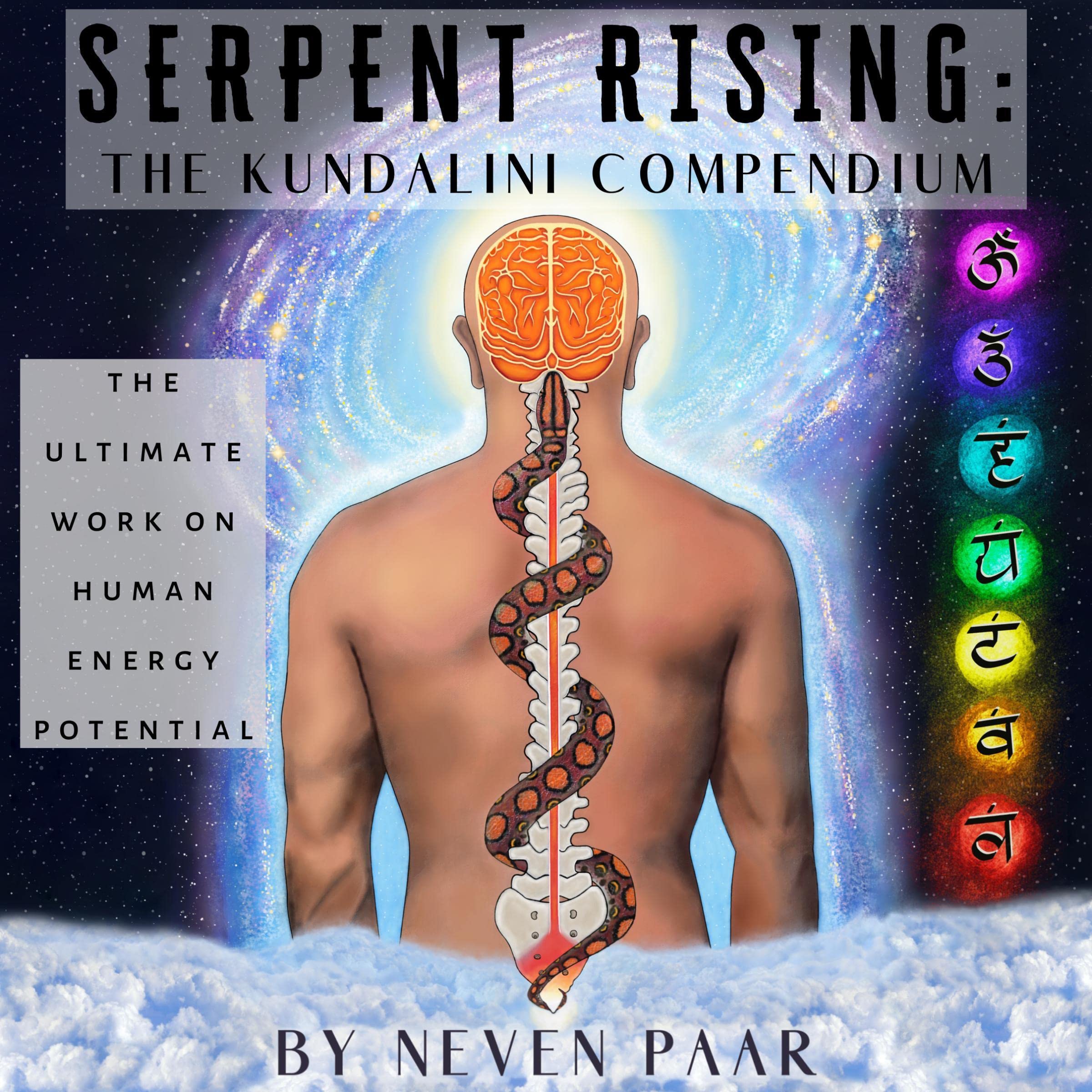 Cover art for Serpent Rising