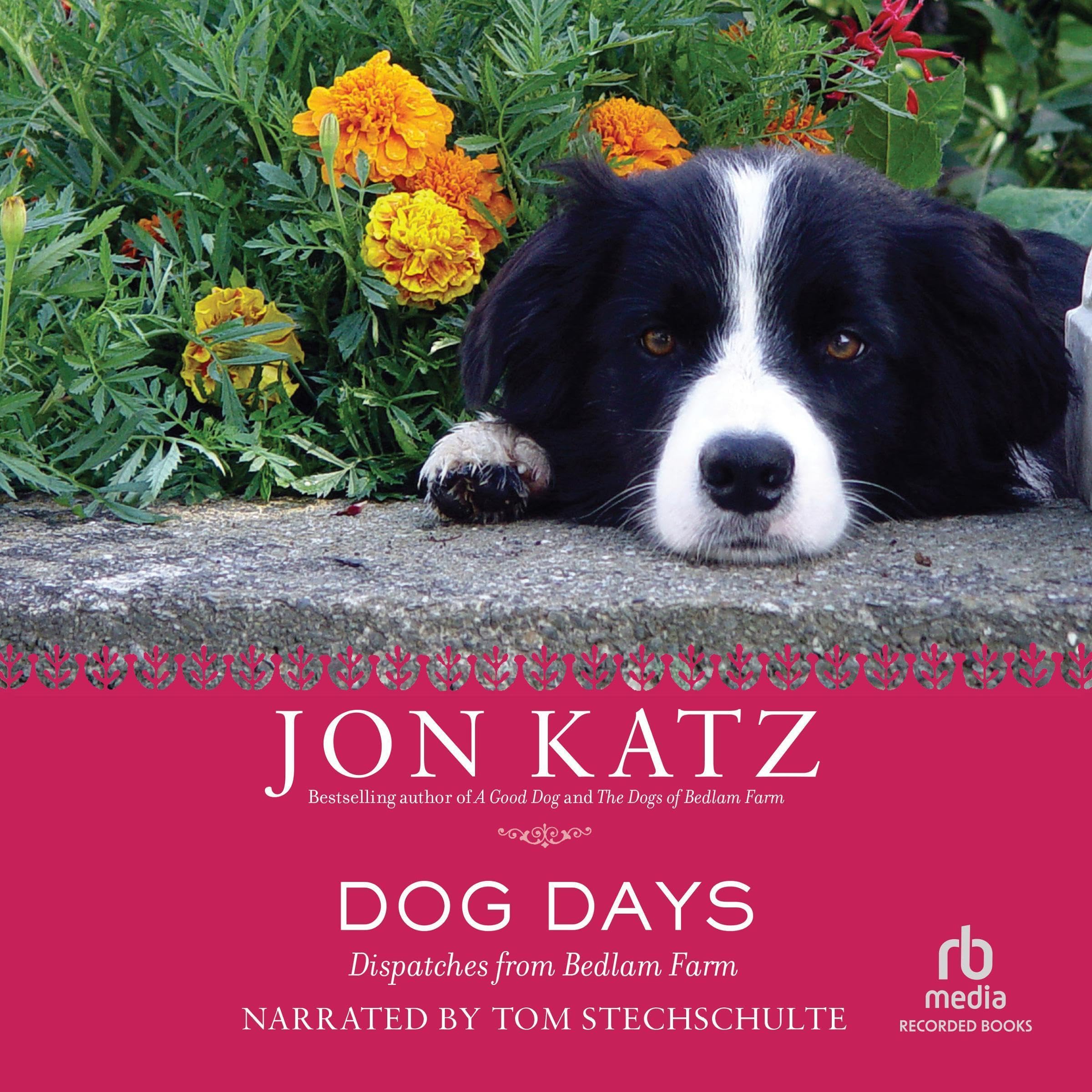 Cover art for Dog Days