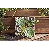 Product Photo 8
