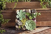 Vista 8 de Cuchilla Deep-Point y carcasa de Cricut, cuchilla de corte con carcasa de corte profundo, corta materiales de hasta 1.5mm de grosor