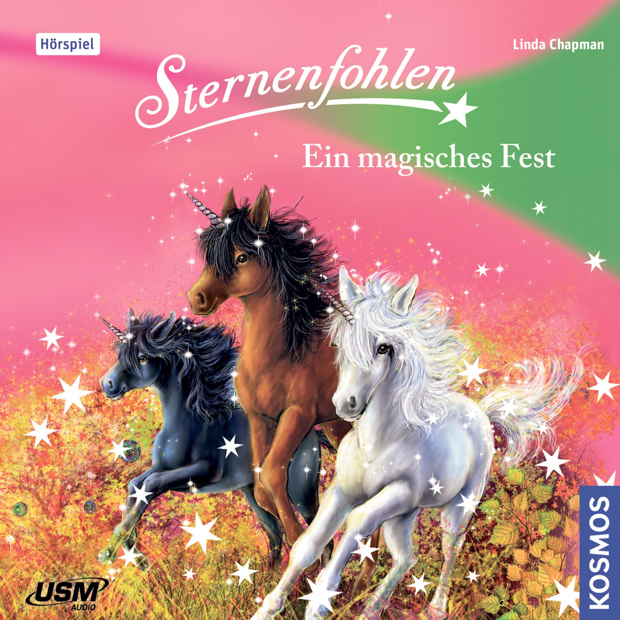 Cover art for Ein magisches Fest