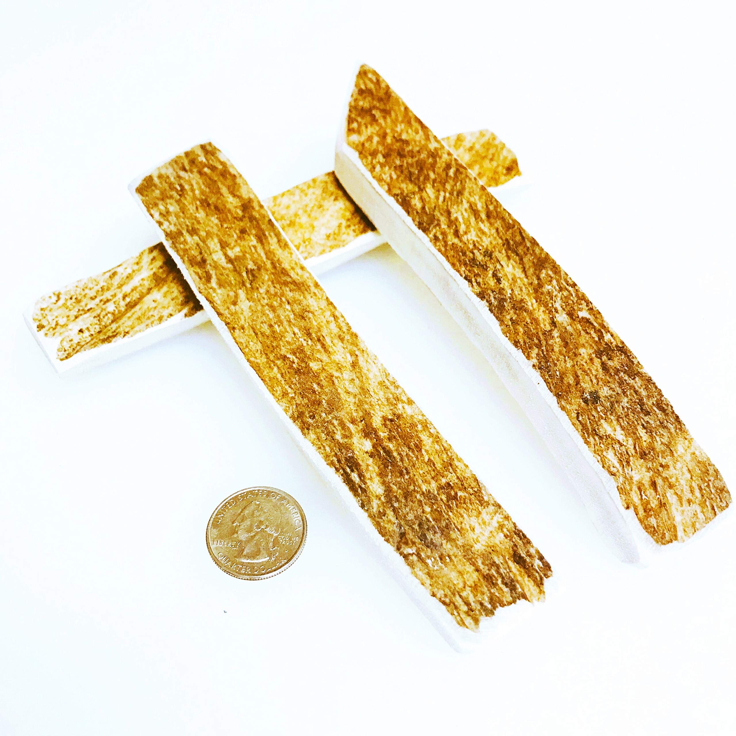 Small Moose Munchers 3 Pack - Moose Antler Dog Chew - Grade A Premium - Organic - Made in USA - No Mess