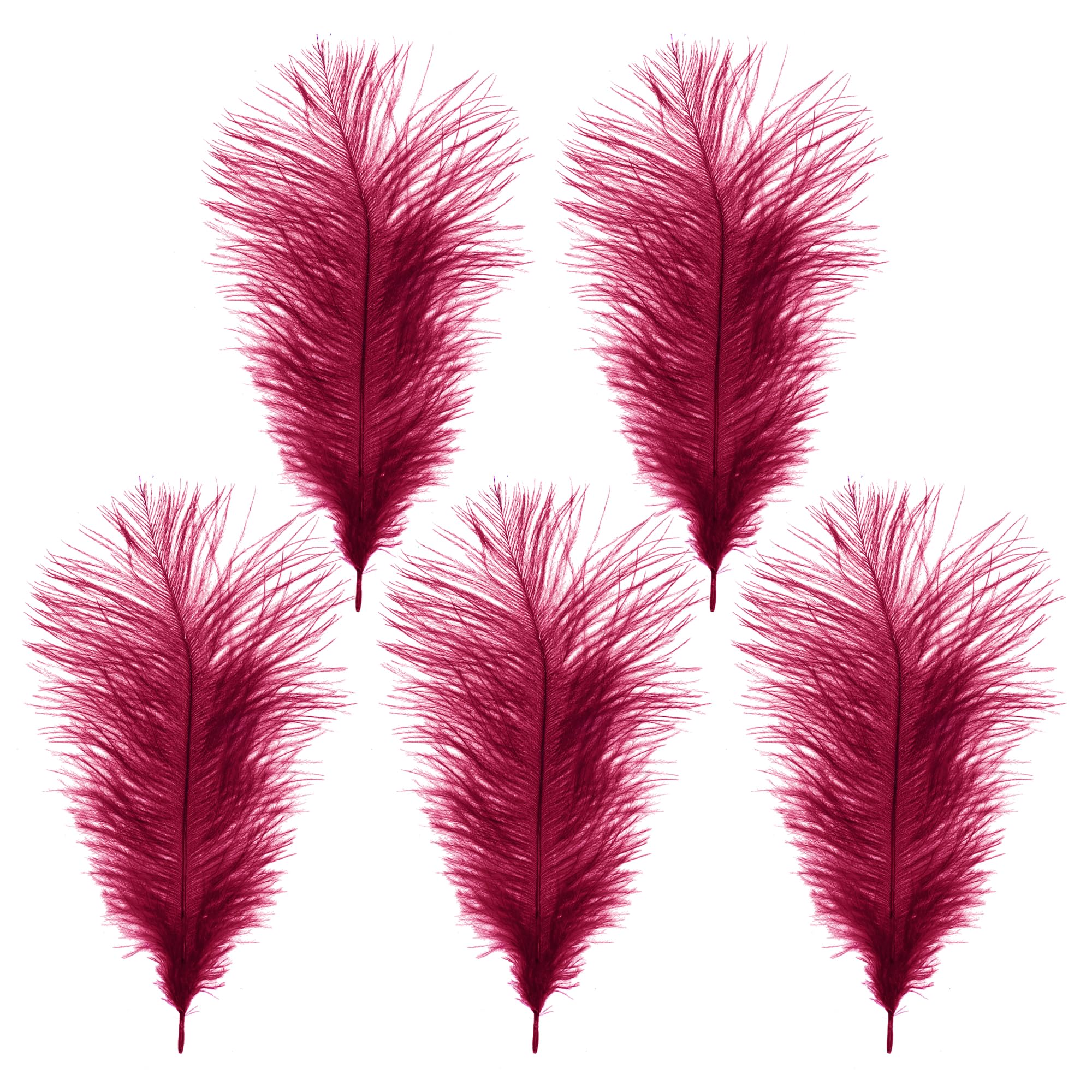 WedDecor Burgundy Natural Ostrich Feathers 14-16" (35-40cm) Long for Wedding Centerpieces, Home, Decorating Costumes, Embellishment, Art & Craft, Parties (Pack of 5)