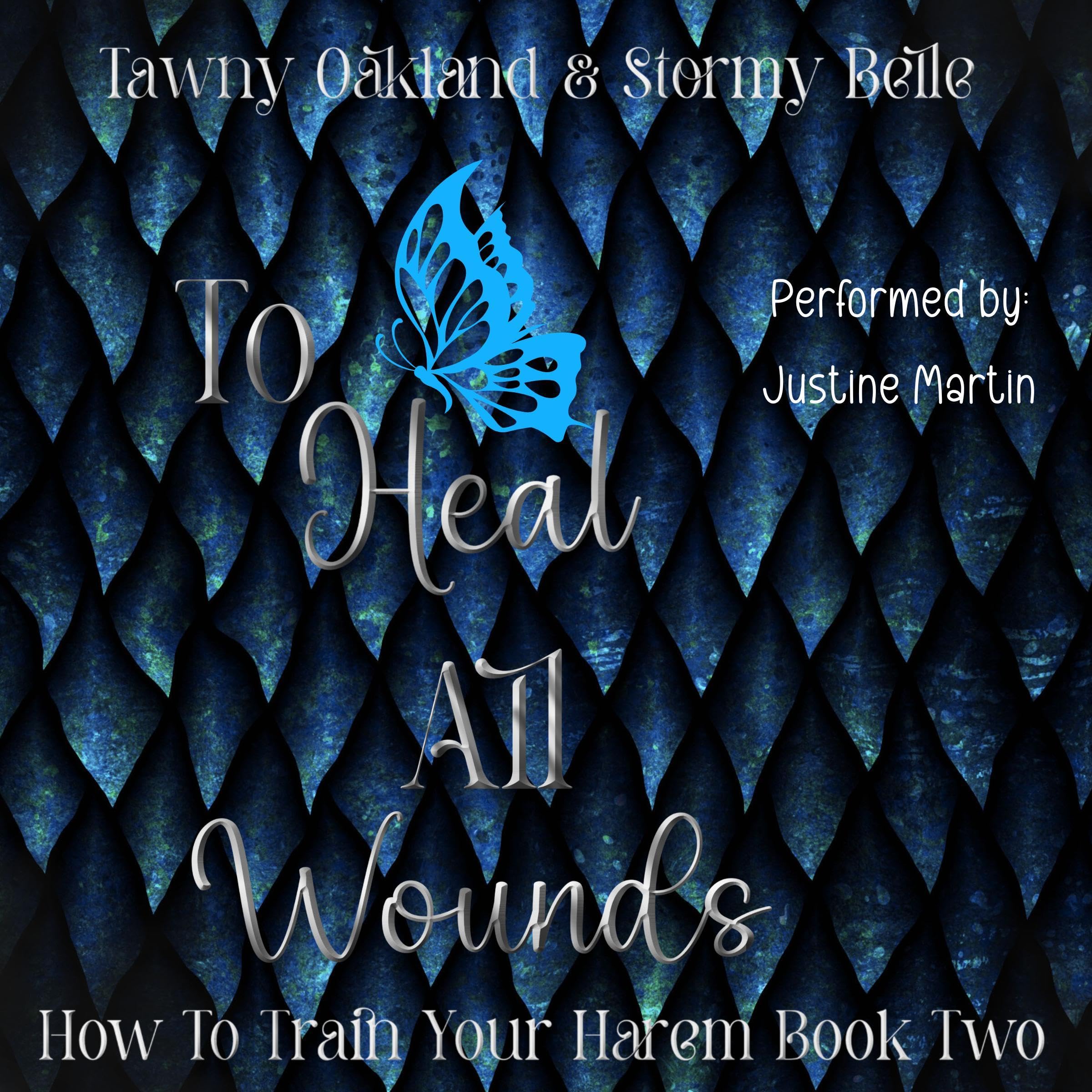 Cover art for To Heal All Wounds