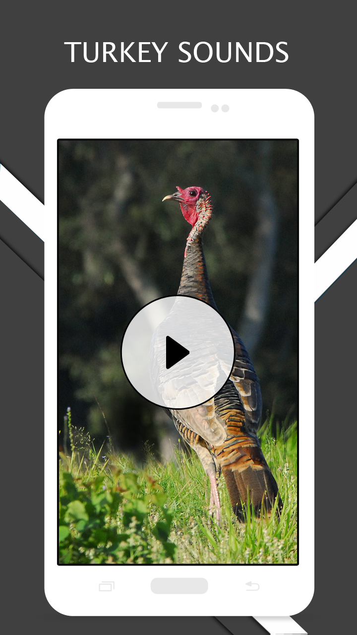Turkey Sounds And for Android