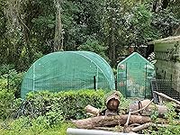 Review Image by William R.