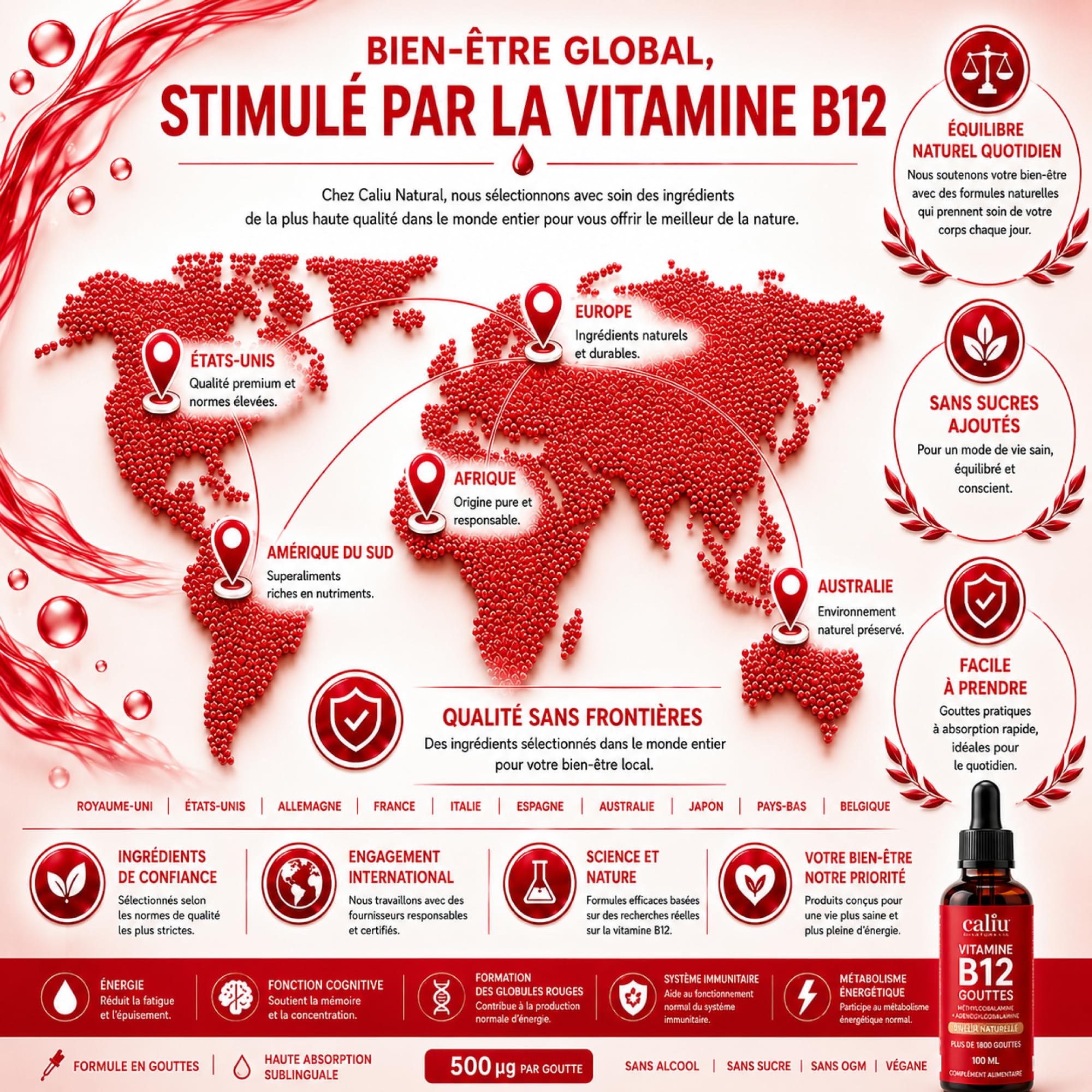Vitamine B12 Méthylcobalamine Sublinguale | 100 ml Gouttes Liquides | Haute Concentration en Vitamine B12 Active | Complément Alimentaire pour l'Énergie, le Système Nerveux et le Métabolisme