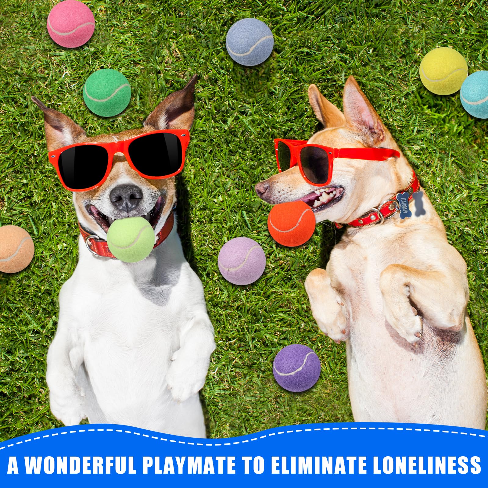 Liliful 50 pelotas de tenis chirriantes para perros de 2.5 pulgadas para jugar a mascotas, perros medianos y grandes, pelotas de cachorro para entrenamiento, juguete de pelota de perro con chirriador