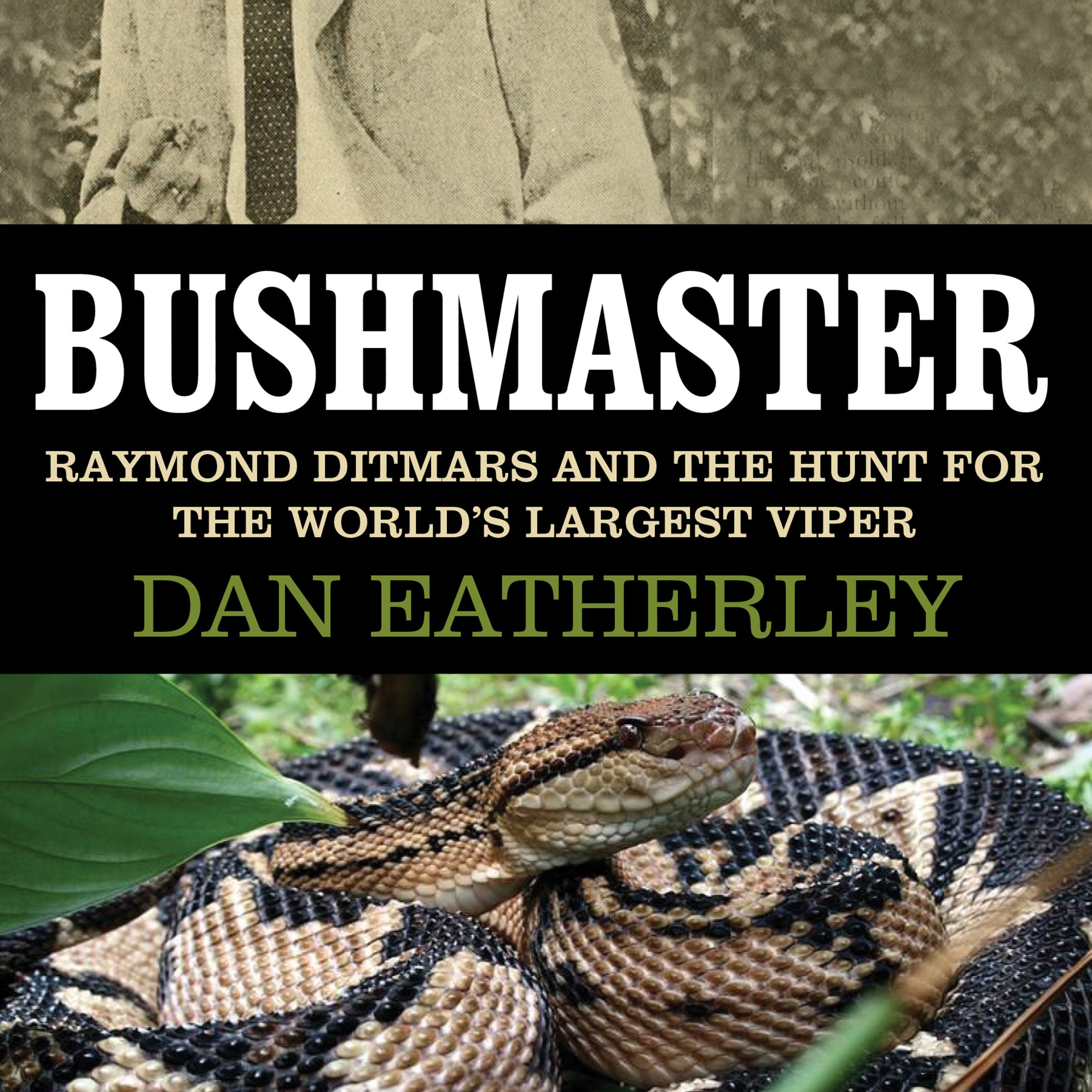Bushmaster