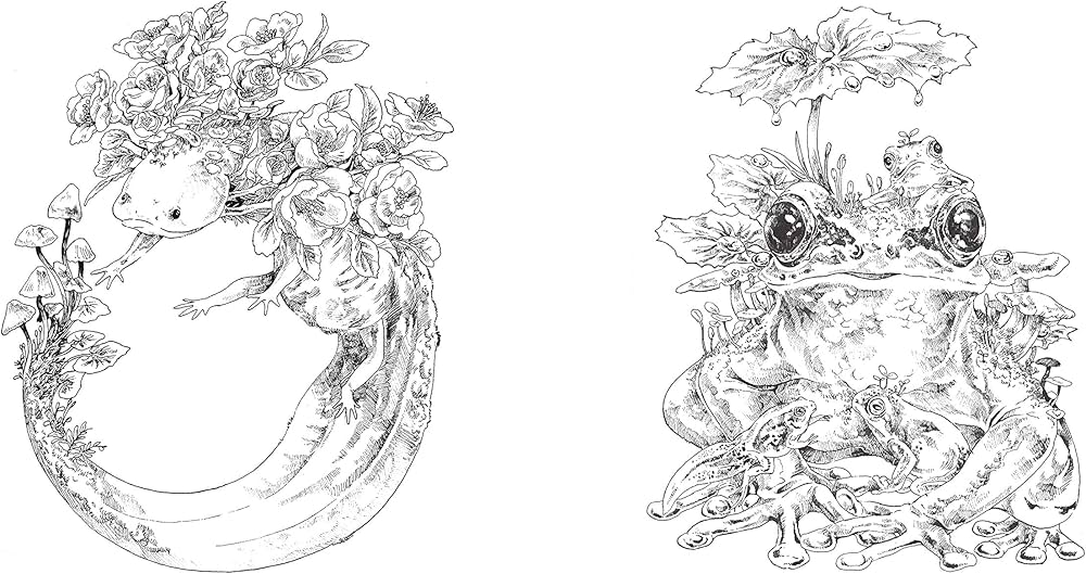 塗り絵・カリカチュア my personal coloring book 塗り絵・カリカチュア my personal coloring book 塗り絵