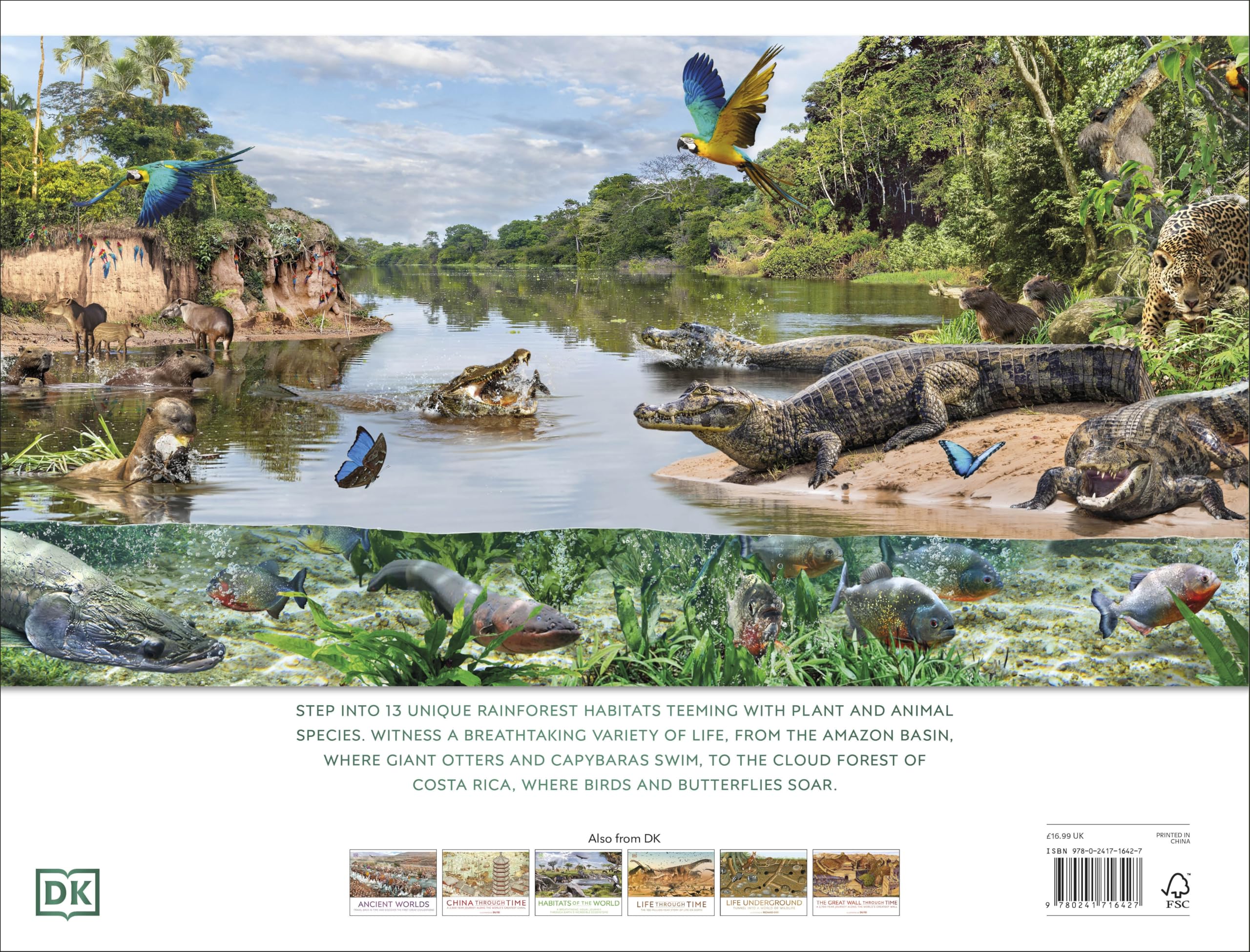 Rainforest: Discover the Extraordinary Life in Earth's Most Delicate Ecosystems (DK Panorama)