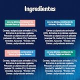 Ver la foto 5