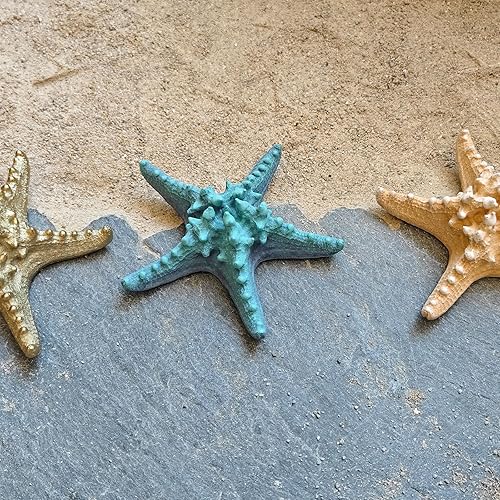 Miniatura 5 de Centro de mesa azul decorativo de estrella de mar, artesanía de estrellas de mar reales, resina hecha a mano, estrella de mar de mar estilo playa