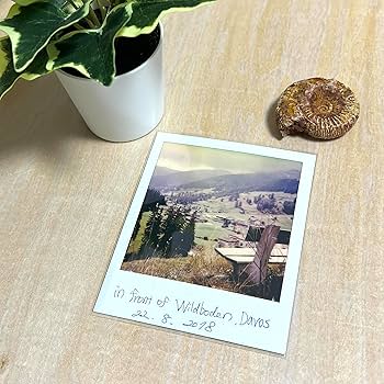 Amazon.co.jp: RedAces ポラロイド スリーブ 110×90mm 特厚 0.05mm 100